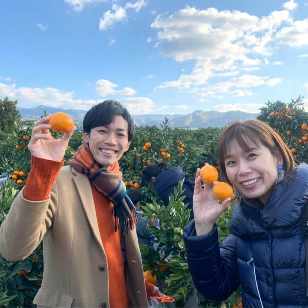 河島あみるさんのインスタグラム写真 - (河島あみるInstagram)「あみるのママで　みかん遠足🍊 今年もたくさんのファミリーが参加してくれました。 みんなで　おいしいしらす丼をいただいた後は テッパンのAQ選果場🍊🍊 大人も子供も大興奮！写真&動画をたくさん撮ってましたよー。 早生みかんは　小さめが美味しいんですが、今年は雨が多くかなり大きめ😅 だけど　その中でも子供たちはみかんの木の奥まで入ってうまいことちっちゃい実をみつけて来るんです　宝探しみたいでした！ 地元有田のみなさんも　子供たちを優しく迎えてくださり感激♫ また来年も行きたいなぁ。 応募してくださったみなさん、ありがとうございました！！ 。 最後の一枚は　ちびっこと遊びすぎて疲れすぎておもしろい寝相の川田くんと　ビキニ部長👙 ☆ #JA有田#有田みかん#みかん狩り#ラジオ大阪#あみるのママで #みかピー#ビキニ部長#ラジオ #ラジオパーソナリティ」12月9日 13時06分 - amiru_kawashima