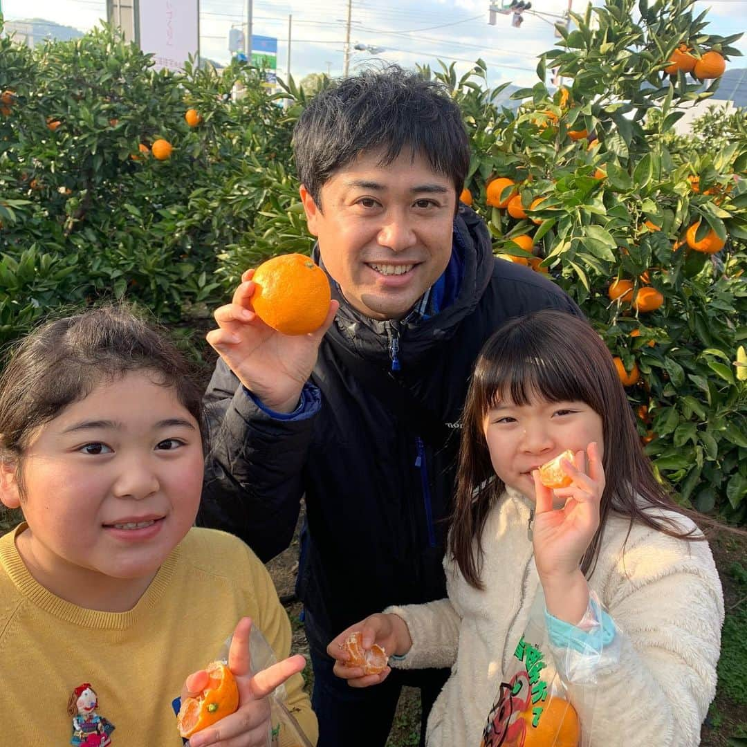 河島あみるさんのインスタグラム写真 - (河島あみるInstagram)「あみるのママで　みかん遠足🍊 今年もたくさんのファミリーが参加してくれました。 みんなで　おいしいしらす丼をいただいた後は テッパンのAQ選果場🍊🍊 大人も子供も大興奮！写真&動画をたくさん撮ってましたよー。 早生みかんは　小さめが美味しいんですが、今年は雨が多くかなり大きめ😅 だけど　その中でも子供たちはみかんの木の奥まで入ってうまいことちっちゃい実をみつけて来るんです　宝探しみたいでした！ 地元有田のみなさんも　子供たちを優しく迎えてくださり感激♫ また来年も行きたいなぁ。 応募してくださったみなさん、ありがとうございました！！ 。 最後の一枚は　ちびっこと遊びすぎて疲れすぎておもしろい寝相の川田くんと　ビキニ部長👙 ☆ #JA有田#有田みかん#みかん狩り#ラジオ大阪#あみるのママで #みかピー#ビキニ部長#ラジオ #ラジオパーソナリティ」12月9日 13時06分 - amiru_kawashima