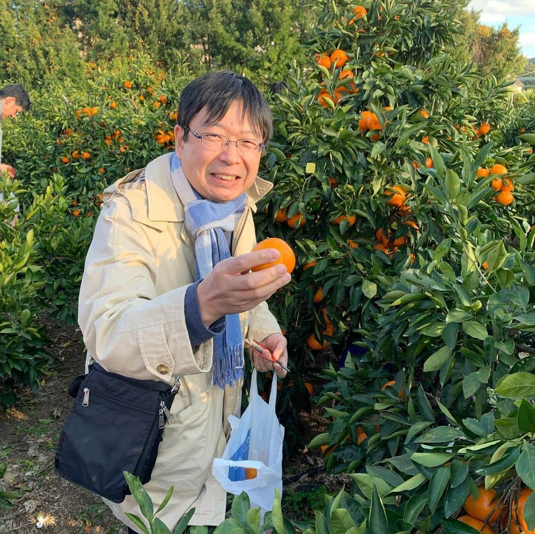 河島あみるさんのインスタグラム写真 - (河島あみるInstagram)「あみるのママで　みかん遠足🍊 今年もたくさんのファミリーが参加してくれました。 みんなで　おいしいしらす丼をいただいた後は テッパンのAQ選果場🍊🍊 大人も子供も大興奮！写真&動画をたくさん撮ってましたよー。 早生みかんは　小さめが美味しいんですが、今年は雨が多くかなり大きめ😅 だけど　その中でも子供たちはみかんの木の奥まで入ってうまいことちっちゃい実をみつけて来るんです　宝探しみたいでした！ 地元有田のみなさんも　子供たちを優しく迎えてくださり感激♫ また来年も行きたいなぁ。 応募してくださったみなさん、ありがとうございました！！ 。 最後の一枚は　ちびっこと遊びすぎて疲れすぎておもしろい寝相の川田くんと　ビキニ部長👙 ☆ #JA有田#有田みかん#みかん狩り#ラジオ大阪#あみるのママで #みかピー#ビキニ部長#ラジオ #ラジオパーソナリティ」12月9日 13時06分 - amiru_kawashima