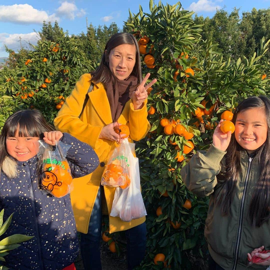 河島あみるさんのインスタグラム写真 - (河島あみるInstagram)「あみるのママで　みかん遠足🍊 今年もたくさんのファミリーが参加してくれました。 みんなで　おいしいしらす丼をいただいた後は テッパンのAQ選果場🍊🍊 大人も子供も大興奮！写真&動画をたくさん撮ってましたよー。 早生みかんは　小さめが美味しいんですが、今年は雨が多くかなり大きめ😅 だけど　その中でも子供たちはみかんの木の奥まで入ってうまいことちっちゃい実をみつけて来るんです　宝探しみたいでした！ 地元有田のみなさんも　子供たちを優しく迎えてくださり感激♫ また来年も行きたいなぁ。 応募してくださったみなさん、ありがとうございました！！ 。 最後の一枚は　ちびっこと遊びすぎて疲れすぎておもしろい寝相の川田くんと　ビキニ部長👙 ☆ #JA有田#有田みかん#みかん狩り#ラジオ大阪#あみるのママで #みかピー#ビキニ部長#ラジオ #ラジオパーソナリティ」12月9日 13時06分 - amiru_kawashima