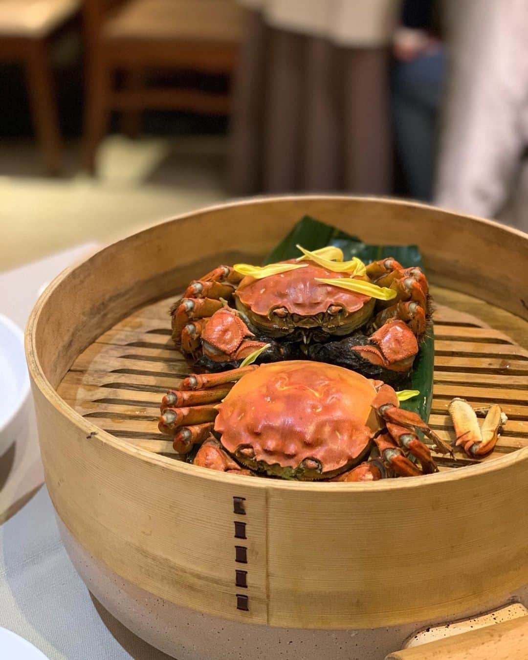 のインスタグラム：「せっかくこの時期に上海に行ったので、上海蟹三昧を🇨🇳 これでもか、というほど上海蟹のメニューを食べ尽くしました😝 もちろん雄と雌食べ比べ🦀 雄の白子が濃厚で栗のような味でした😋 ・ #上海 #上海蟹 #中国 #shanghai  #china  #大闸蟹 #旅クマ子」