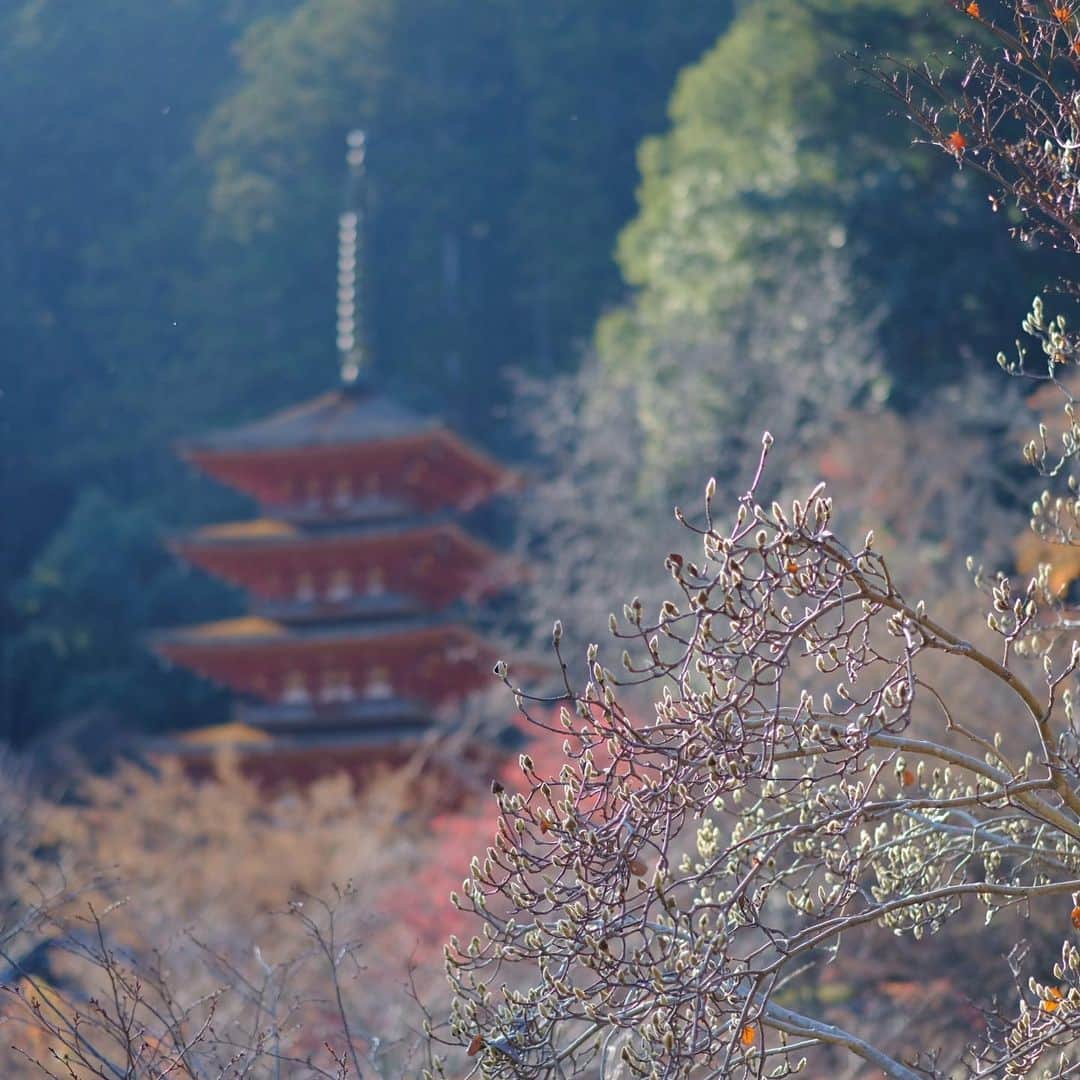 奈良 長谷寺 / nara hasederaのグルメインスタ