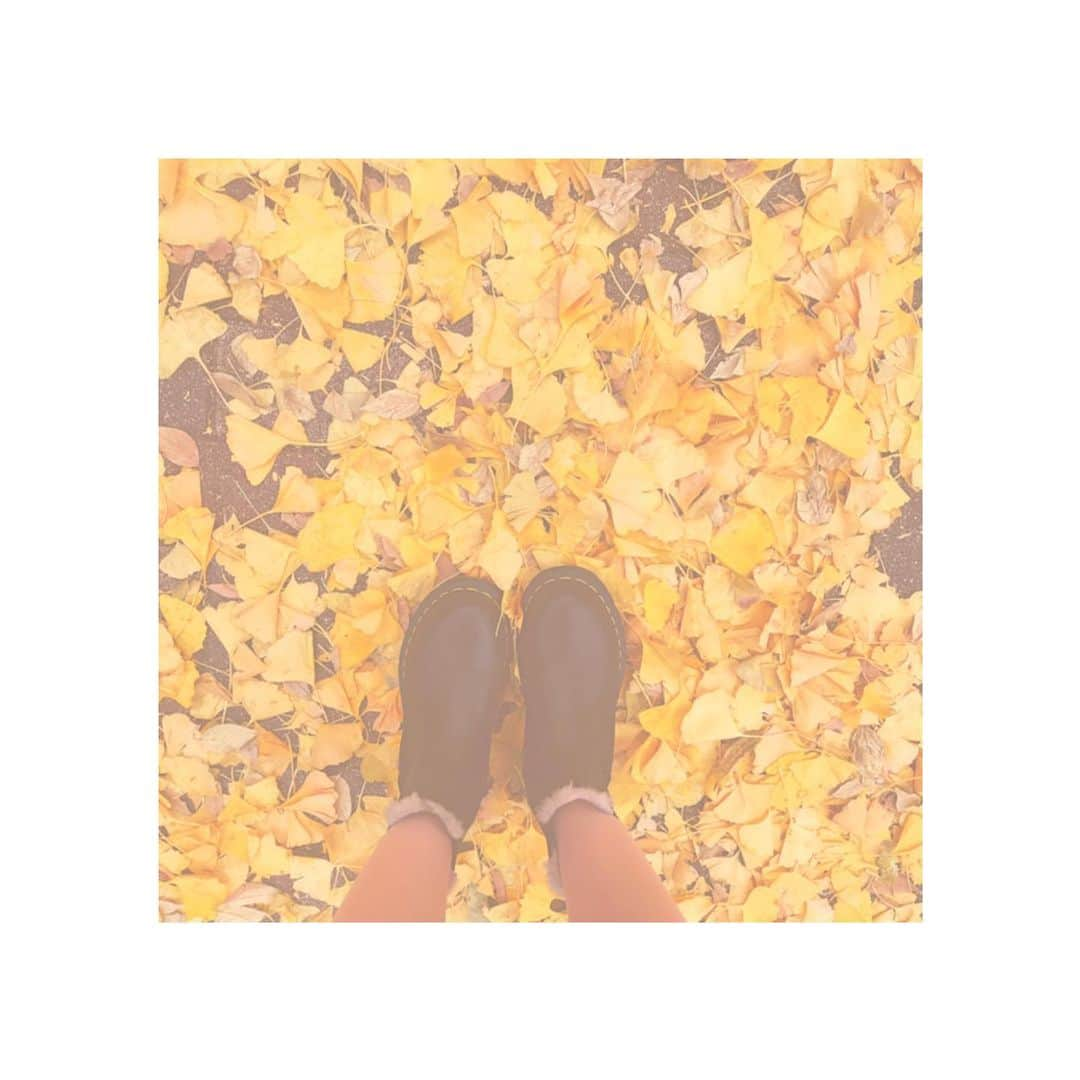 towanaさんのインスタグラム写真 - (towanaInstagram)「although it has a warm colour」12月10日 0時28分 - towana