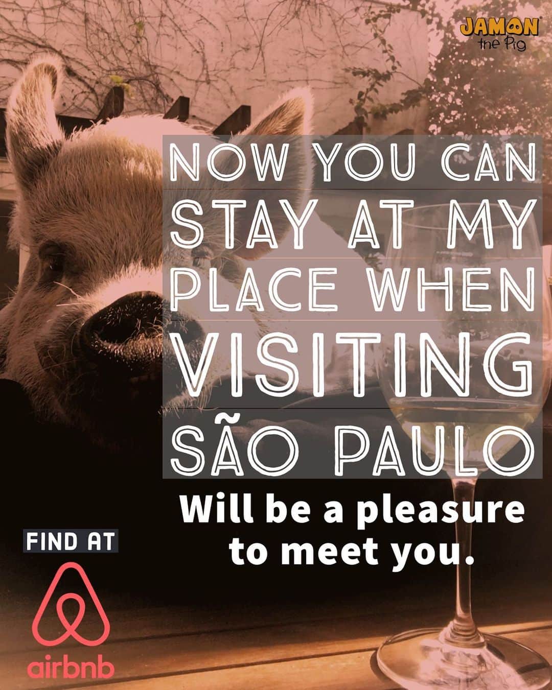 Jamonのインスタグラム：「This is true! Now you can stay at my place when visiting São Paulo and you can take some pictures, give some belly rubs, food?  You can find our place at @airbnb  Book now your trip!  https://abnb.me/Sau0NMnwh2  #jamonsplace #visitingjamon #jamonthepig」