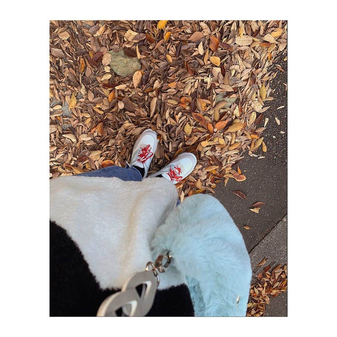 小笠原星さんのインスタグラム写真 - (小笠原星Instagram)「🍂 落ち葉ってなんかいいよね」12月9日 17時18分 - akarinbaby