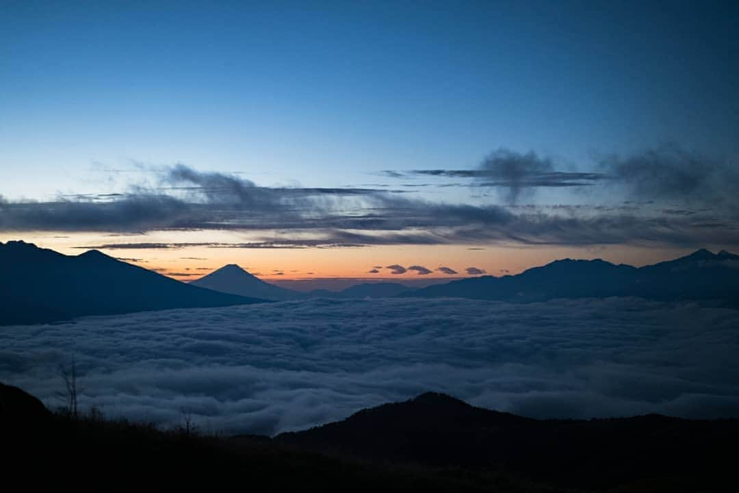 フォルクスワーゲンさんのインスタグラム写真 - (フォルクスワーゲンInstagram)「早起きは三文の徳 THE NORTH FACEタイアップ第3弾となる今回のテーマは「トレイルラン」。 ⠀ まだ夜も明けない時間に、アスリートたちが楽しんでいる「自然がくれる遊び」とは？ ⠀ THE NORTH FACE所属のアスリート志村 裕貴さん、宮﨑 喜美乃さんが、朝日を目指して夜明け前のトレイルランへ。 ⠀ 誰もいない静寂の中で、彼らが楽しむ自然との遊び。そして、それを続けていくために、山にできることとは何か？ トレイルランナーとしての彼らの「自然との向き合い方」について語ってもらいました。 ⠀ 今なら防水性と通気性の相反する機能を同時に実現する新素材FUTURELIGHT™を使用した“FL L6ダウンビレイパーカー”を抽選で男女各2名様にプレゼント！ ⠀ プロフィール画面（@vw_japan）のハイライトをタップして、ぜひチェックしてみてください。 ⠀ #ワーゲンをつけて写真を投稿してください #ワーゲン #フォルクスワーゲン #ノースフェイス #トレラン #トレイルランニング #vw #volkswagen #vwlife #vwlove #vwcar #trailrunning #carofinstagram #carstagram #carlifestyle #instacar #thenorthface #FUTURELIGHT」12月9日 17時27分 - vw_japan