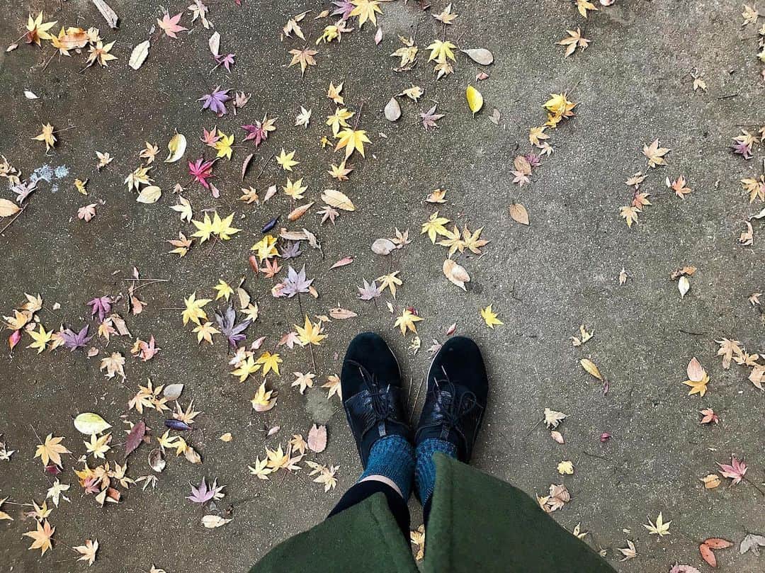 のインスタグラム：「. 秋を感じる🍁 가을을 느끼고🍁 Feeling autumn🍁 #でももう冬ですか？#근데이제겨울인가요#butitmaybewinter#紅葉#단풍#autumnleaves」