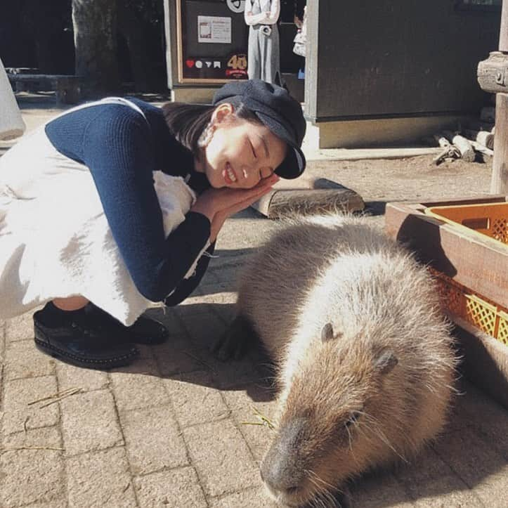 美舞さんのインスタグラム写真 - (美舞Instagram)「. 長崎県西海市 ♡♡♡ 写真で伝わるでしょう。 最高の日だったとゆう事が ☺️❣️ 「泊まりたいね。」「また来たいね。」が 飛び交う帰りの車内。 行くたびに好きになる西海市。また行きます ✌︎ . #長崎 #西海市 #よりみち西海市 #PR #nagasaki #saikaicity #長崎県 #ドライブ #女子旅 #プチ旅行 #ぶらり旅 #日帰り旅行 #パワースポット #北緯33度線展望台 #動物園 #長崎バイオパーク」12月9日 17時30分 - mibuki__.39