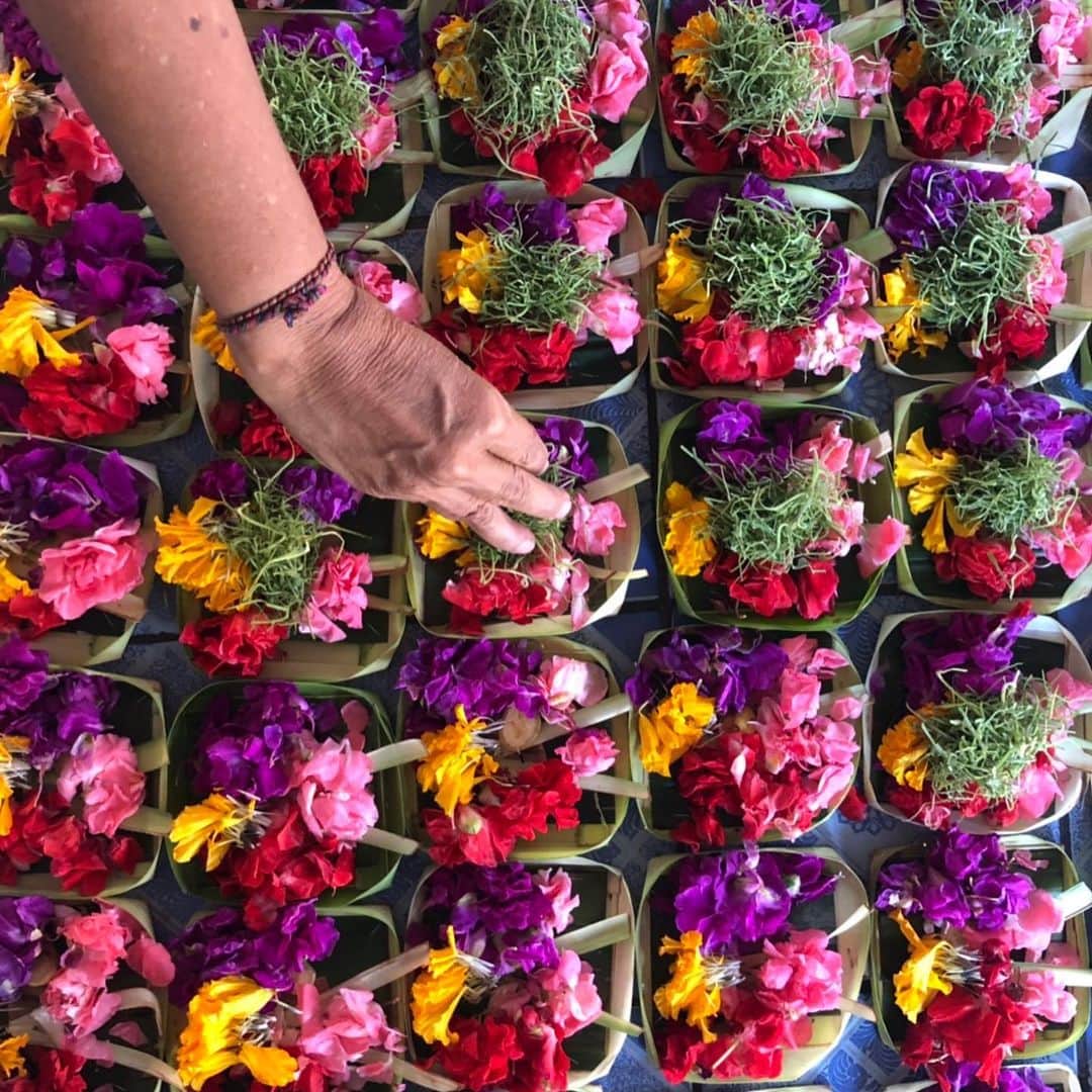 森本容子さんのインスタグラム写真 - (森本容子Instagram)「Bali お祈りの時に使うお花。デーハーです。」12月9日 17時47分 - yocomorimoto