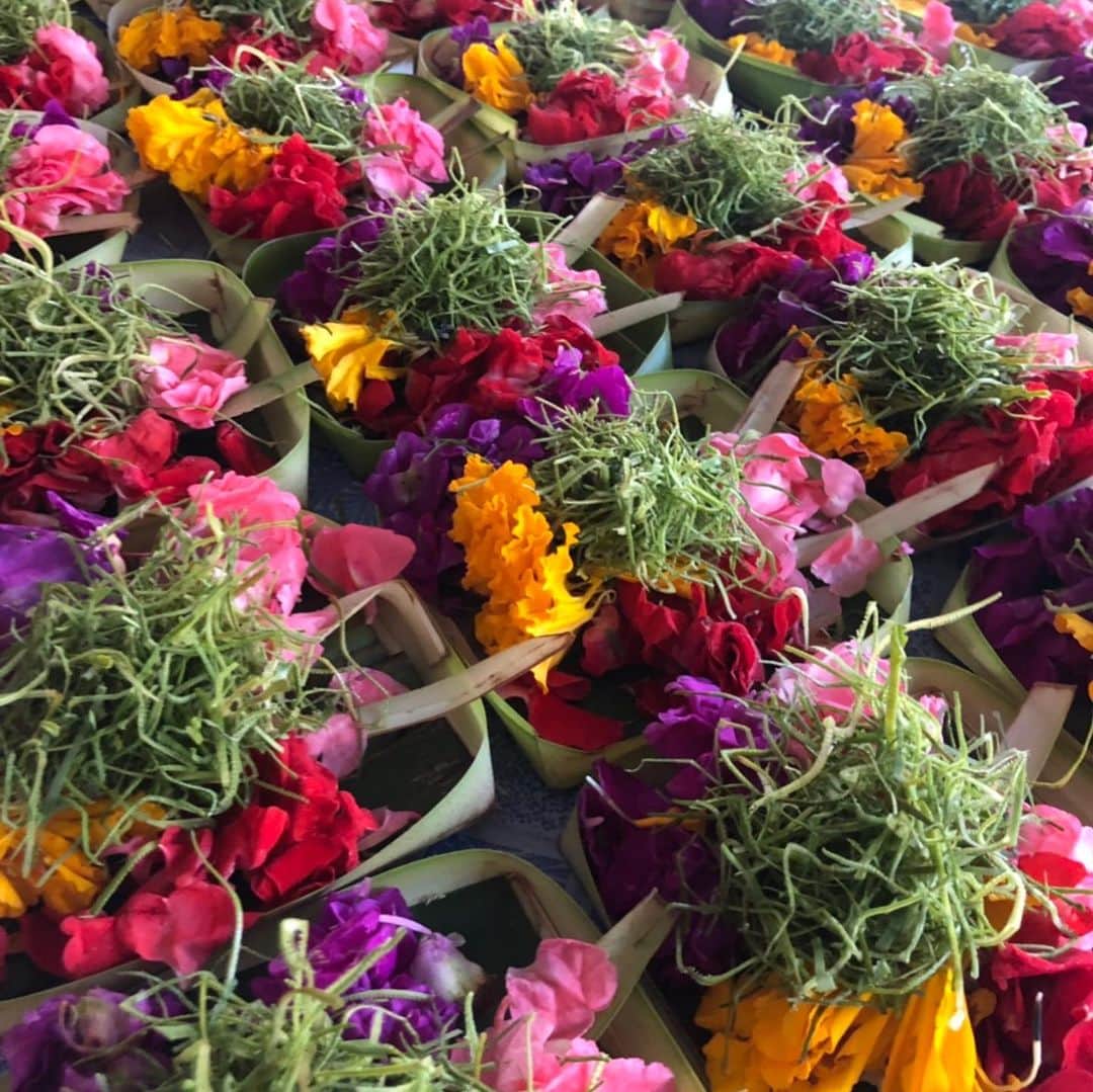 森本容子さんのインスタグラム写真 - (森本容子Instagram)「Bali お祈りの時に使うお花。デーハーです。」12月9日 17時47分 - yocomorimoto