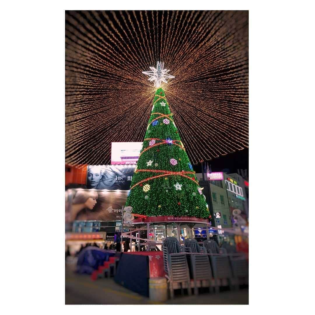 JR九州高速船株式会社のインスタグラム：「. もうすぐクリスマスですね🎅 . 南浦洞にある光復路のクリスマスツリーは見に行かれましたか?✨🎄✨ . 今年も例年に増してとても綺麗でした😆💓 点灯は、日没後(17時半頃)から24時までだそうです。(天候により点灯時間が変更になる場合があります) . . 釜山の街中では、他にもさまざまなクリスマスイルミネーションが楽しめます💮 . 是非ビートルに乗って釜山のクリスマスイルミネーションを見に行かれませんか😊 . . . 「釜山クリスマスツリー文化祭り」. 期間：2019年11月16日(日)～2020年1月5日(日)(18時閉幕消灯式) . 場所：釜山広域市 中区 光復洞1街 光復洞文化ファッション通り一帯 . . . #釜山クリスマスツリー文化祭り#イルミネーション#クリスマス#釜山#プサン#南浦洞#光復路#JR九州高速船#ビートル#船#韓国旅行#海外旅行#旅行#beetle_go」