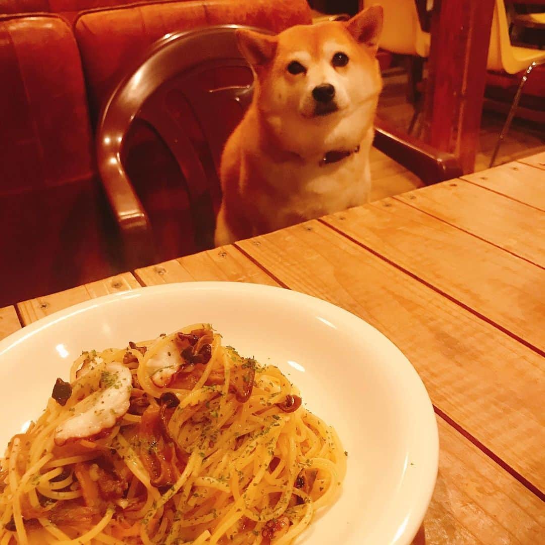のインスタグラム：「先日の絶品パスタ🍝  #マル子  #かねよ食堂  #蛸と木の子のペペロンチーノ」