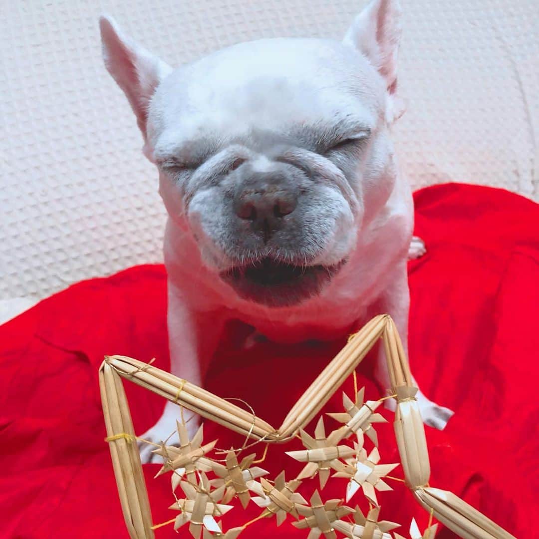 藤田朋子のグルメインスタ