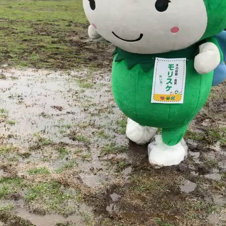 のインスタグラム：「羽生さみっとで、泥沼の中を歩くぼくをお贈りします＾＾！すごいでしょー！！！  . #モーリーズ #moories  #ダイナム #かわいい #kawaii #cute #ゆるキャラ #ご当地キャラ #キャラクター #follow #ぬい撮り #stuffedtoy #instagood #マスコット #木の妖精 #モリスケ #モーリーズコーヒー #モーリーズカフェ」