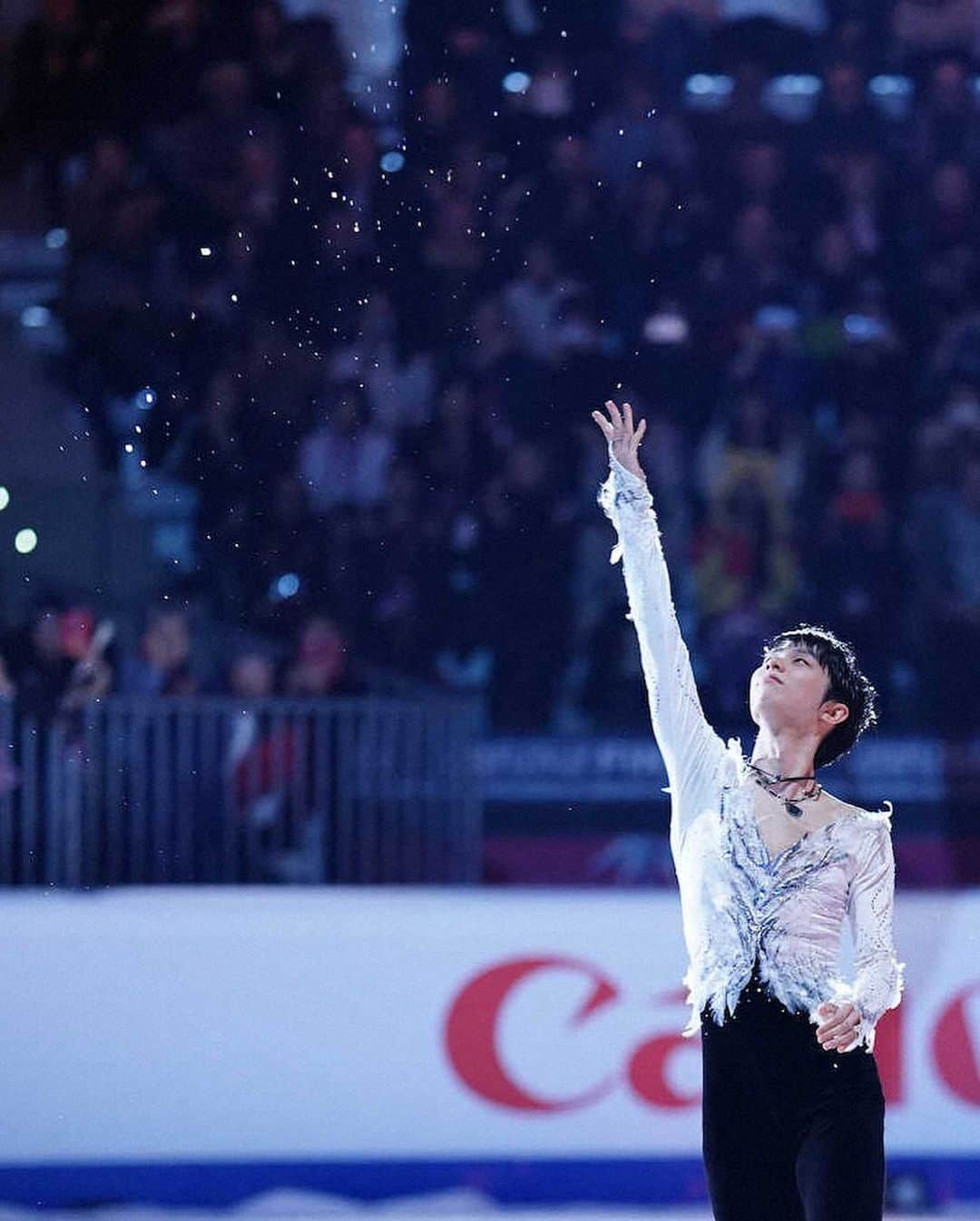 羽生結弦さんのインスタグラム写真 - (羽生結弦Instagram)「スワンさんってほんとにうちらと同じ生き物…？？？ Cr. Sponichi #羽生結弦 #yuzuruhanyu #figureskating #figureskater」12月9日 18時39分 - yuzu_kanami