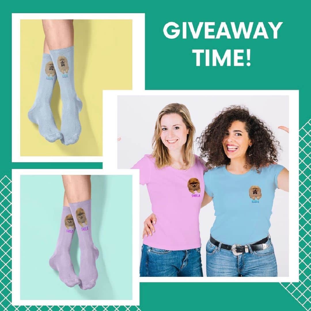 Shilaさんのインスタグラム写真 - (ShilaInstagram)「🎁 GIVEAWAY TIME 🎁  Win a FREE Shila Eddie T-shirt or Socks from Vardise! 😄  To enter is pretty easy:  1. Follow @shila_the_pom and @vardisecom 2. Tag your friend ❤ (one comment one tag) 3. Tell us why you want it so bad  Contest ends on December 12th so only 3 days! 😸 Go get your chance 😉  Be as creative as possible ❤」12月9日 19時03分 - shila_the_pom