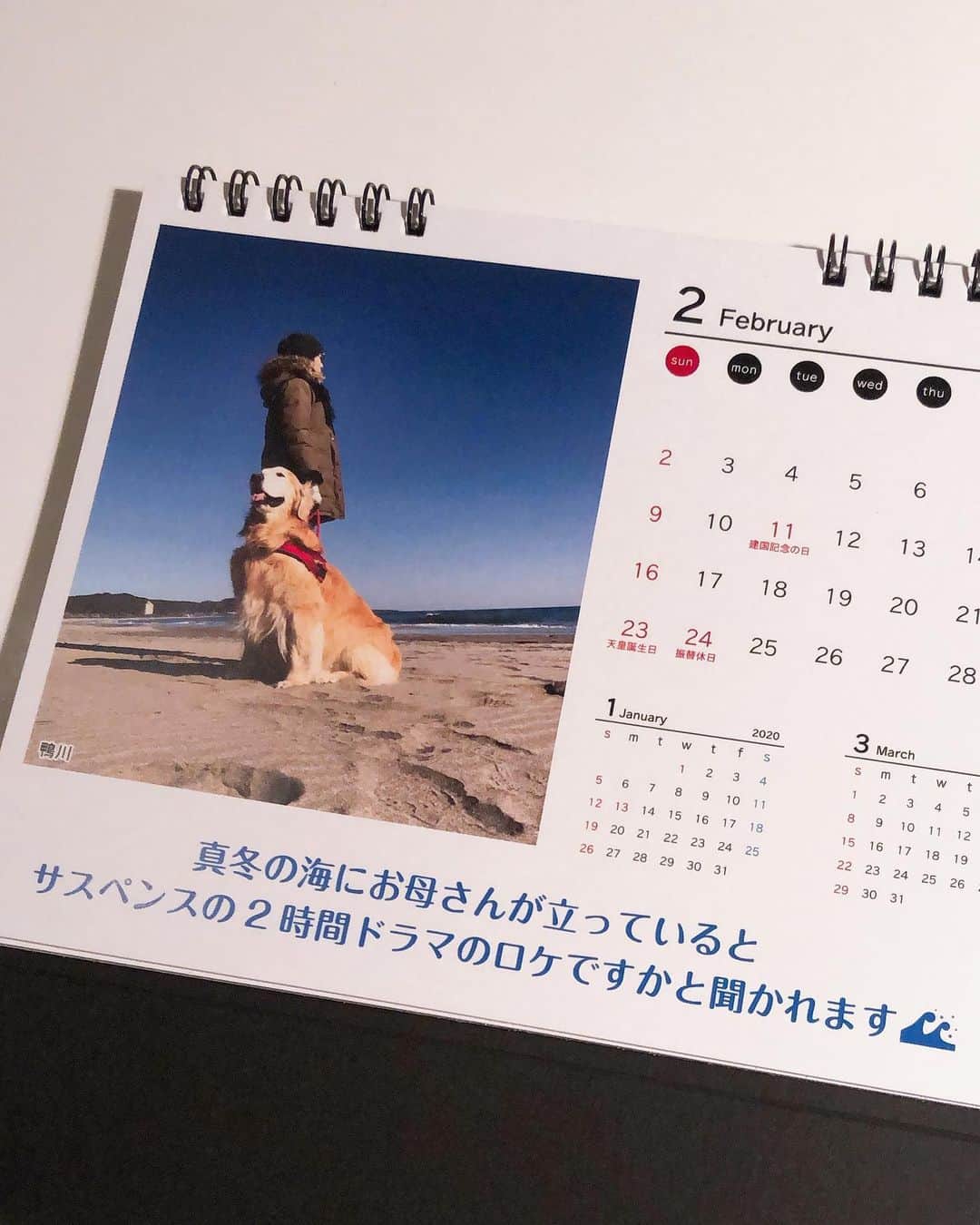 高橋ひとみさんのインスタグラム写真 - (高橋ひとみInstagram)「「モモエカレンダー　2020」が完成しました🗓 一年間撮りためた写真からお父さん厳選して、コメントいれました😊 コメントに悩み過ぎて、完成したときは 疲れ果ててました😅 表紙＆1月〜5月です。」12月9日 19時56分 - hitomi_momoe