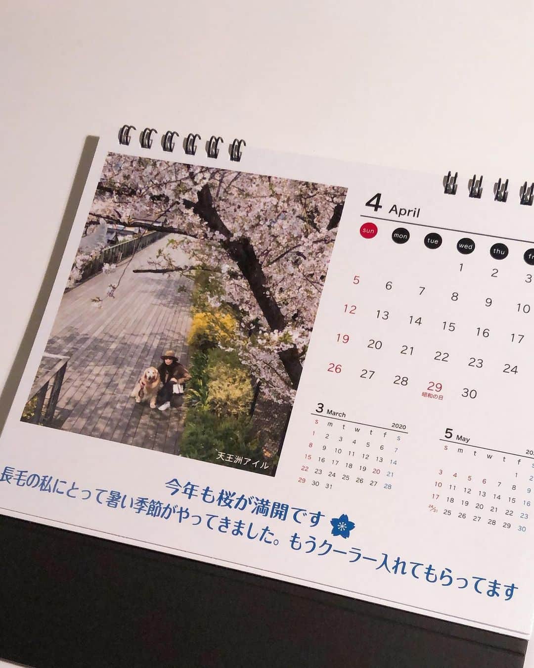 高橋ひとみさんのインスタグラム写真 - (高橋ひとみInstagram)「「モモエカレンダー　2020」が完成しました🗓 一年間撮りためた写真からお父さん厳選して、コメントいれました😊 コメントに悩み過ぎて、完成したときは 疲れ果ててました😅 表紙＆1月〜5月です。」12月9日 19時56分 - hitomi_momoe
