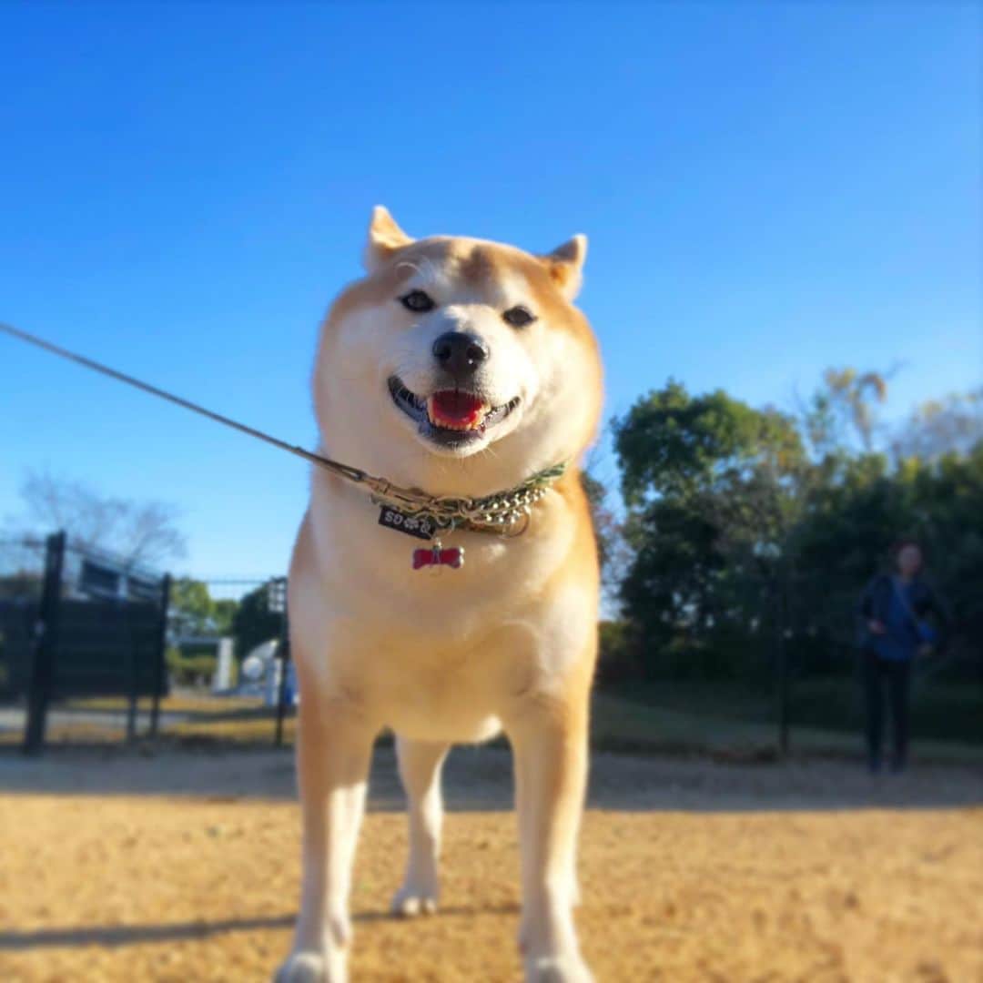 豆助左衛門（まめすけざえもん）のグルメインスタ