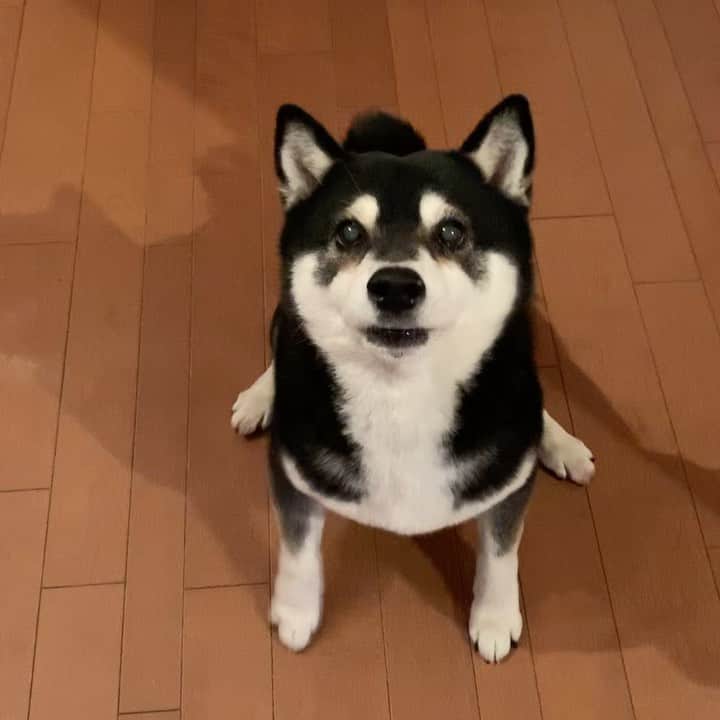 くろのインスタグラム