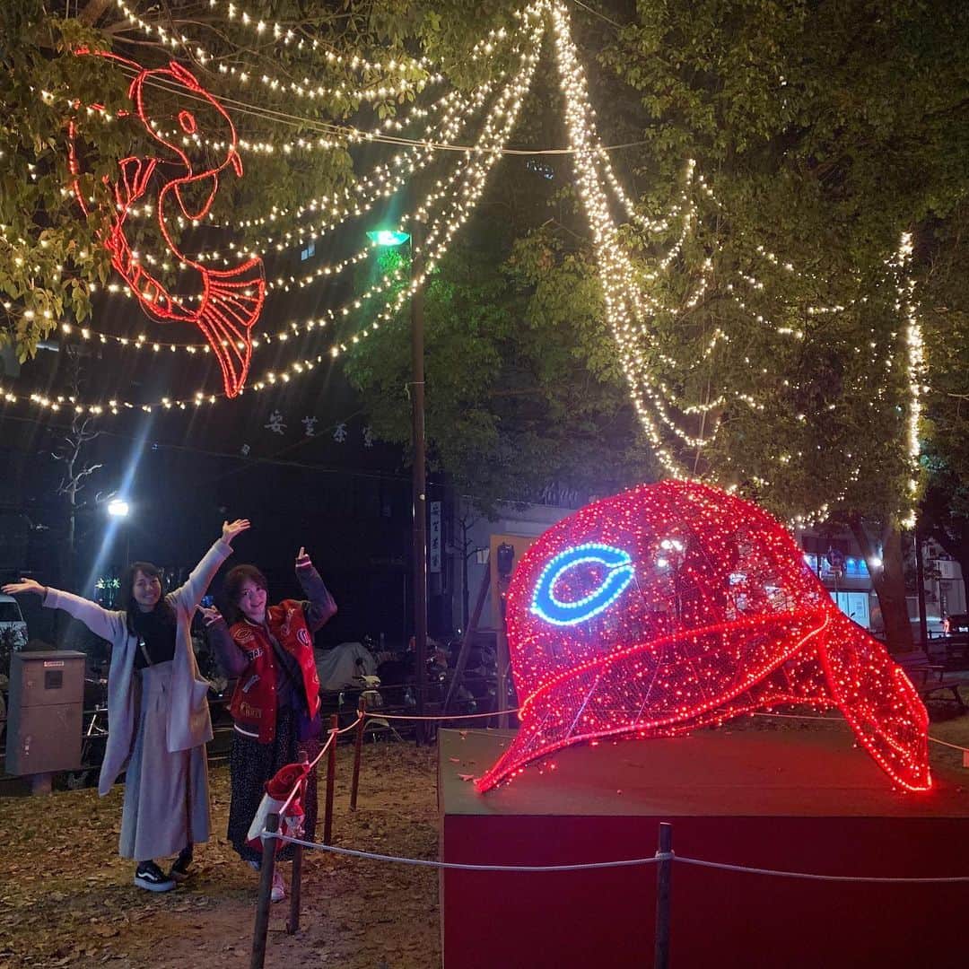 うえむらちかのインスタグラム：「ひろしまドリミネーション2019﻿ @hiroshima_dorimi ﻿ ﻿ 今年も行ってきました〜🎄﻿ ﻿ ﻿ 「おとぎの国」をテーマに、平和大通りなどの市内中心部で、約140万球の光でライトアップが展開されています✨﻿ ﻿ 開催期間　令和元年11月15日(金)～令和２年1月3日(金)﻿ 点灯時間　17時30分～22時30分﻿ ﻿ ﻿ #ドリミフォト2019﻿ #ドリミネーション #ひろしまドリミネーション﻿ #イルミネーション #フォトスポット﻿ #広島 #広島観光スポット #カープ女子 #カープ #carp」