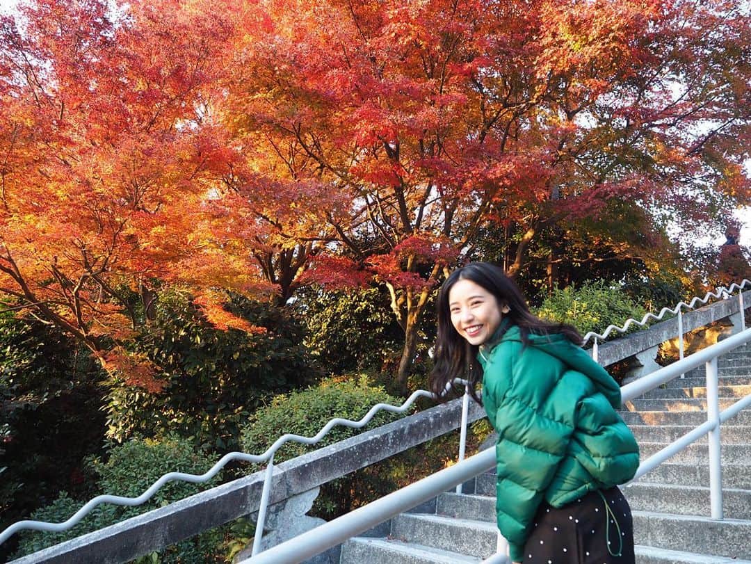 山尾梨奈さんのインスタグラム写真 - (山尾梨奈Instagram)「🍁 紅葉まだ見れました！！ギリギリ！！！ #kyoto #清水寺 #京都紅葉 #紅葉」12月9日 22時07分 - yamarina_1210