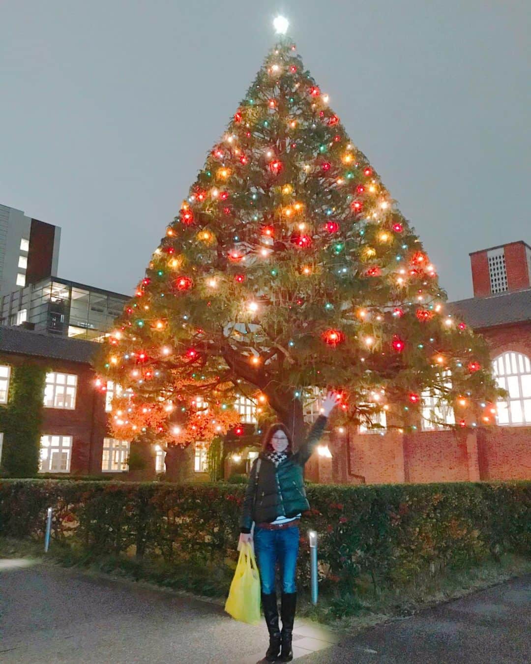 益子直美さんのインスタグラム写真 - (益子直美Instagram)「立教大学の大きなクリスマスツリー！ とってもステキでした！ 本物の大きなヒマラヤ杉のツリー、しかも2本！ こんなステキな大学の女子大生になりたいっ！  #クリスマスツリー  #立教大学  #立教大学クリスマスツリー」12月9日 23時40分 - naomi.masuko