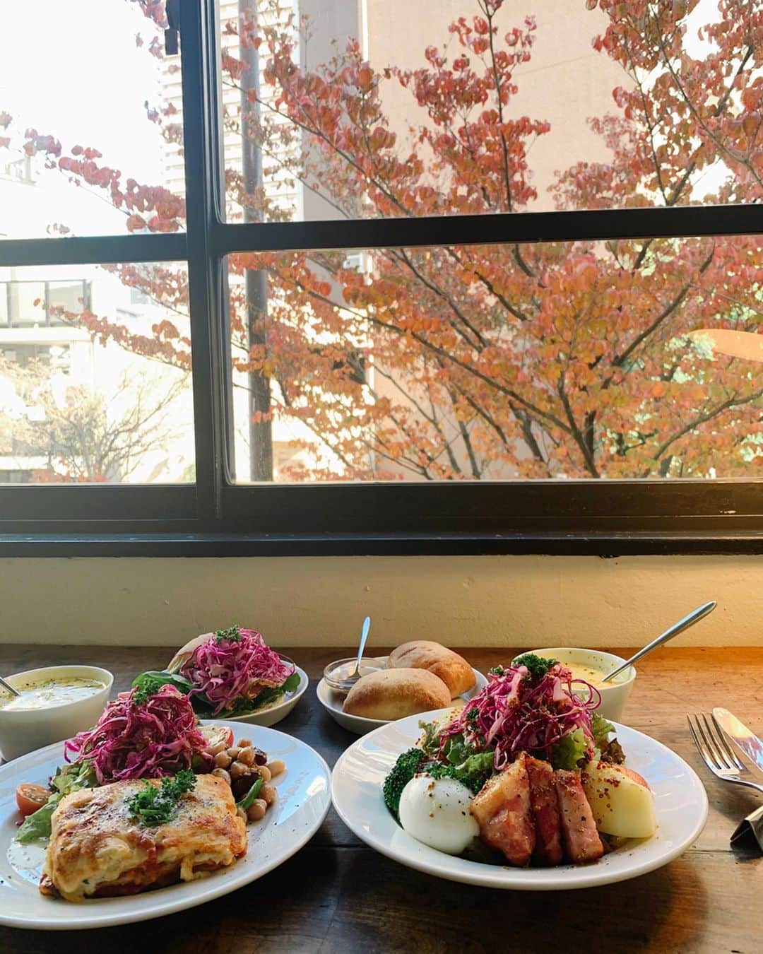 山野ゆりのインスタグラム：「少し前に紅葉を眺めながらのランチ♡サンドイッチのパンがすご〜く美味しかった。ショートケーキもなんて可愛いの🍰  今日も頑張ろうね🍞 #恵比寿#ランチ#サンドイッチ#パン#wellk」
