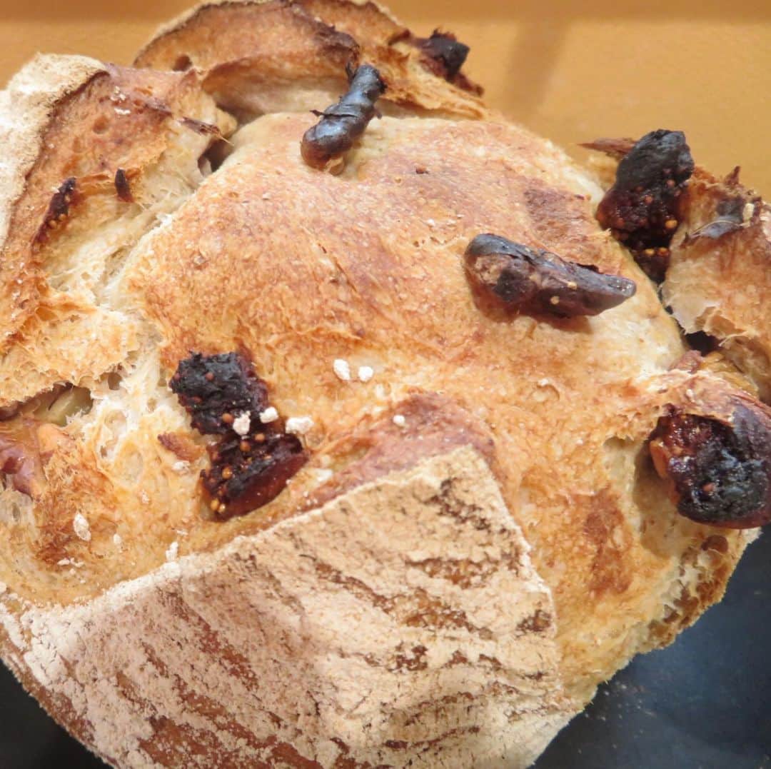 魔女菅原のグルメインスタ