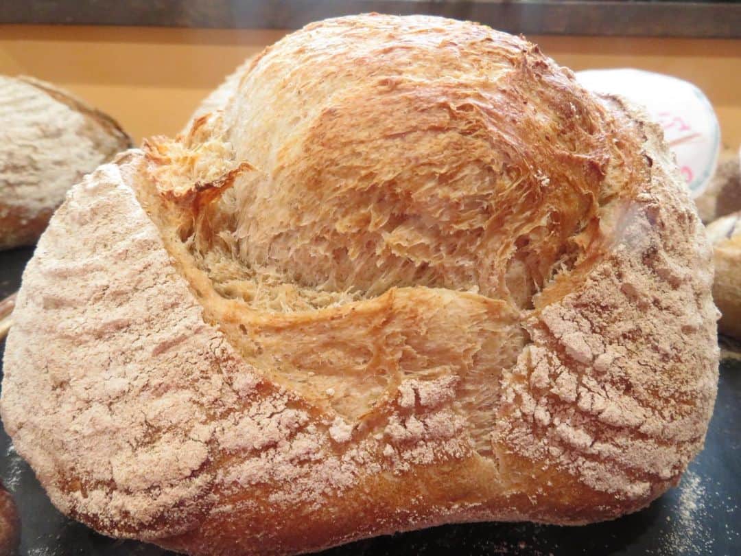 魔女菅原のグルメインスタ