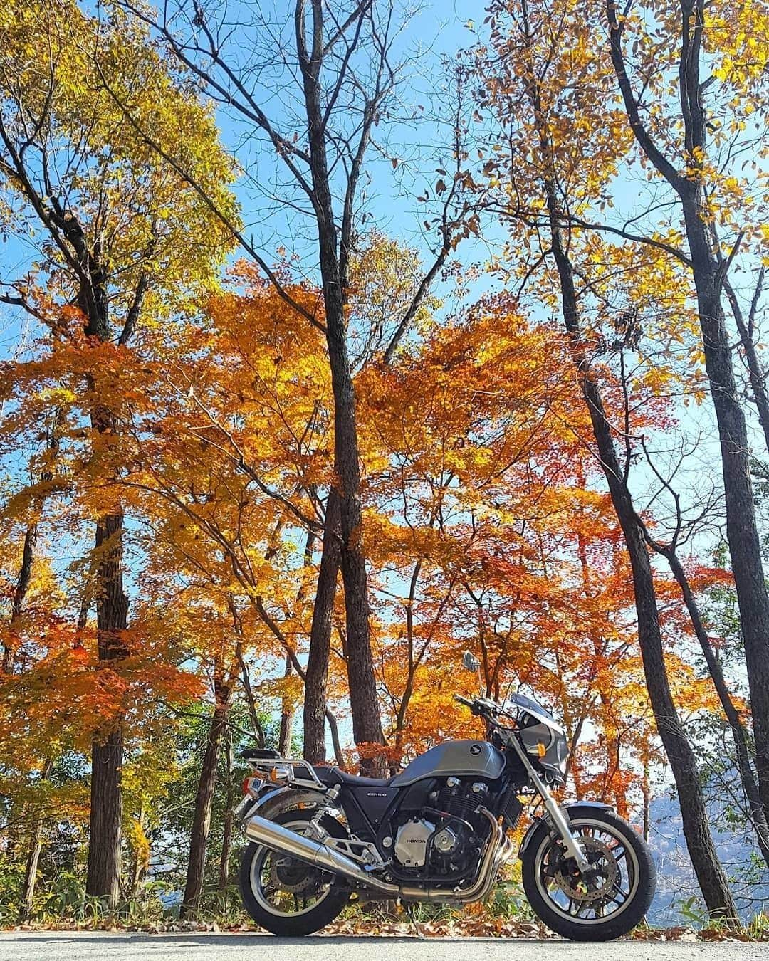 Honda 本田技研工業(株)さんのインスタグラム写真 - (Honda 本田技研工業(株)Instagram)「「東床尾山の紅葉」⠀ Photo by @shootertoyo⠀ .⠀ #写真 #photo #honda #バイク #cb1100⠀ .⠀ 本アカウントでは、「 #MeandHonda 」をつけてInstagramに投稿された皆さんのHonda製品を取り入れた素敵な写真もご紹介していきます。たくさんのご投稿をお待ちしております。」12月10日 11時00分 - hondajp