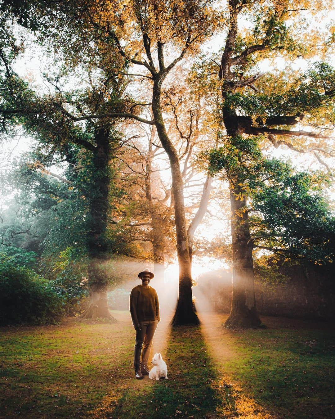 リリー＝ローズ・メロディのインスタグラム：「Magical morning in a magical place 🌳✨ @ballyvolanehouse #lilyinireland」