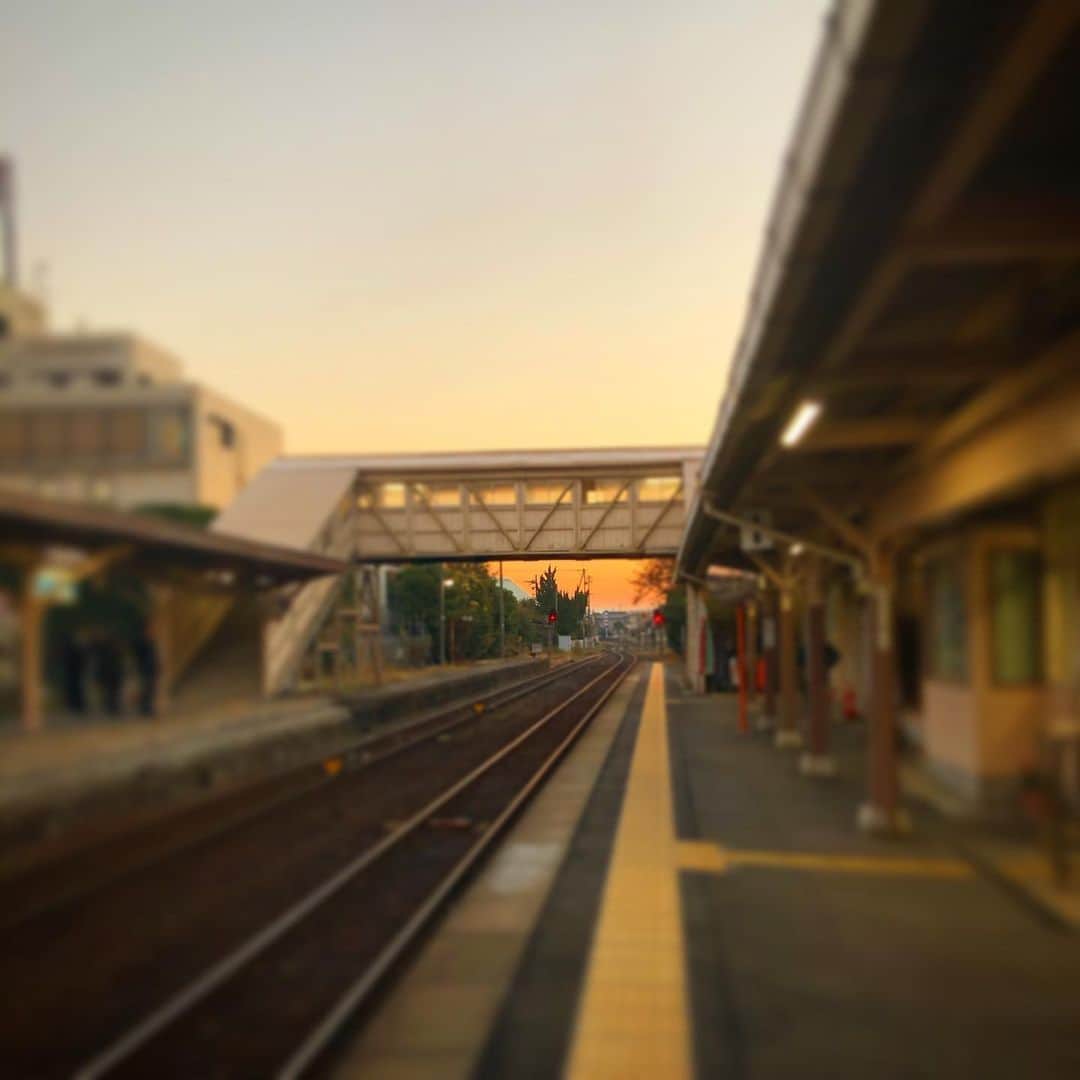 犬伏まりのグルメインスタ