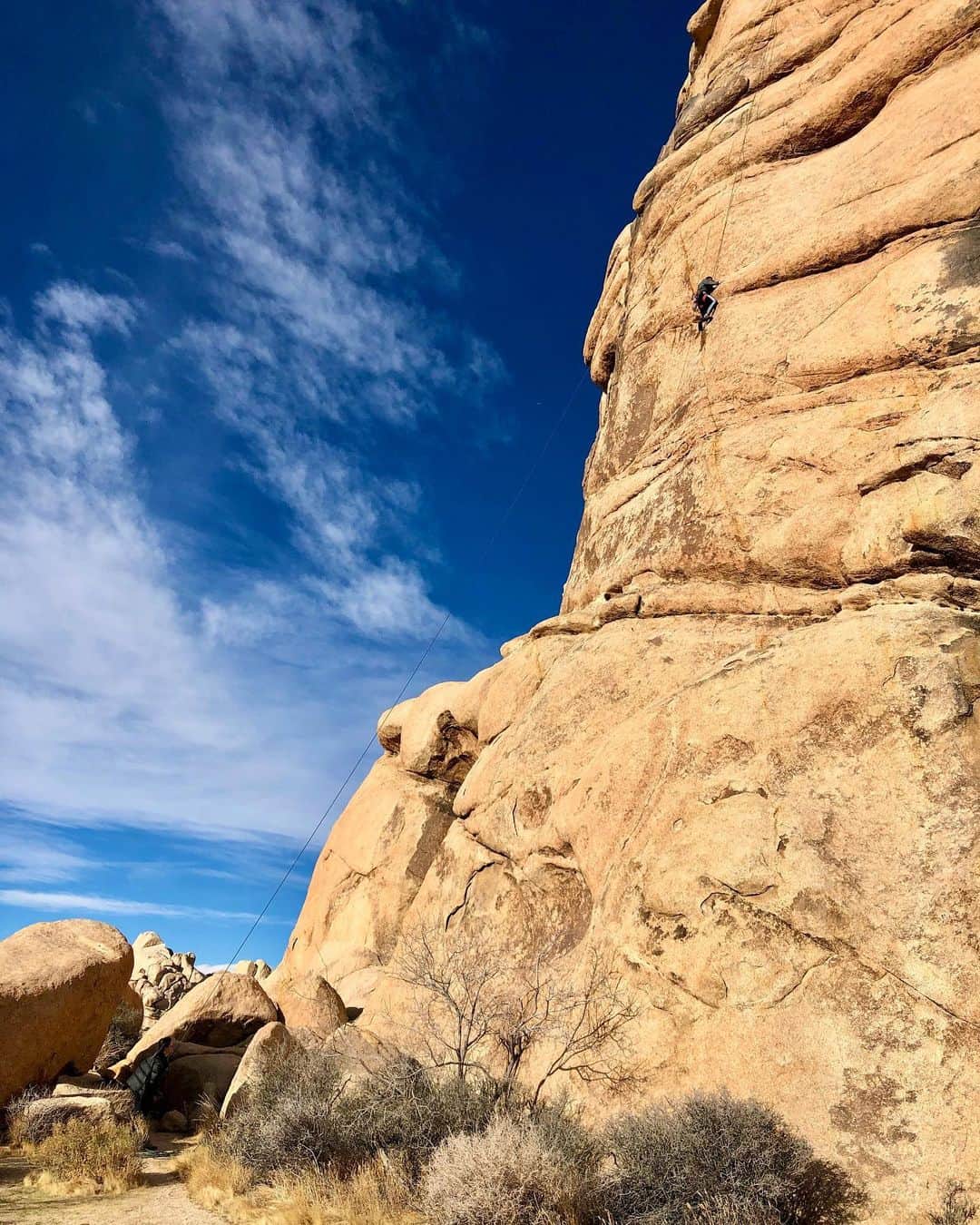 トビー・レグボのインスタグラム：「Climbin’ stuff 👀👀」