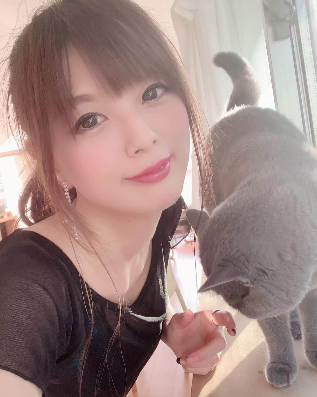 のインスタグラム：「猫ちゃんと戯れました😊💓🐱 * D卍MON（デーモン）ボディソープの香りは 猫ちゃんもお気に入り¨̮♡︎ * * #d卍mon #デーモンボディソープ #daemon703 #プロテイン #ボディメイク #筋トレ女子 #プロテインボディソープ #ダイエット #プロテイン女子 #おすすめのプロテイン #ヒップアップ #桃尻 #ワークアウト @daemon703」