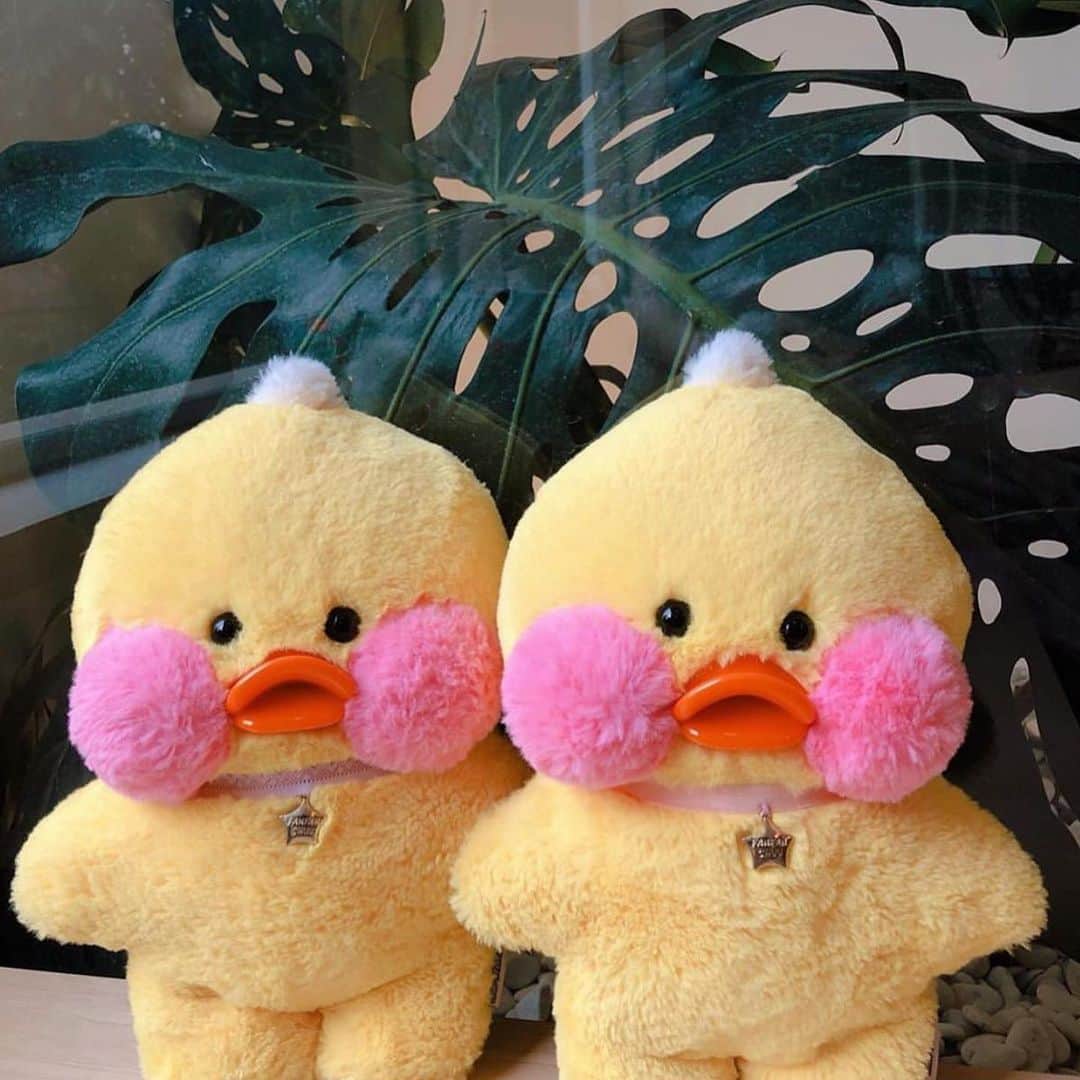 Chuuのインスタグラム：「12시 빵빵츄 20차 오픈❤️빵덕이들 분양해 가세요 :)」