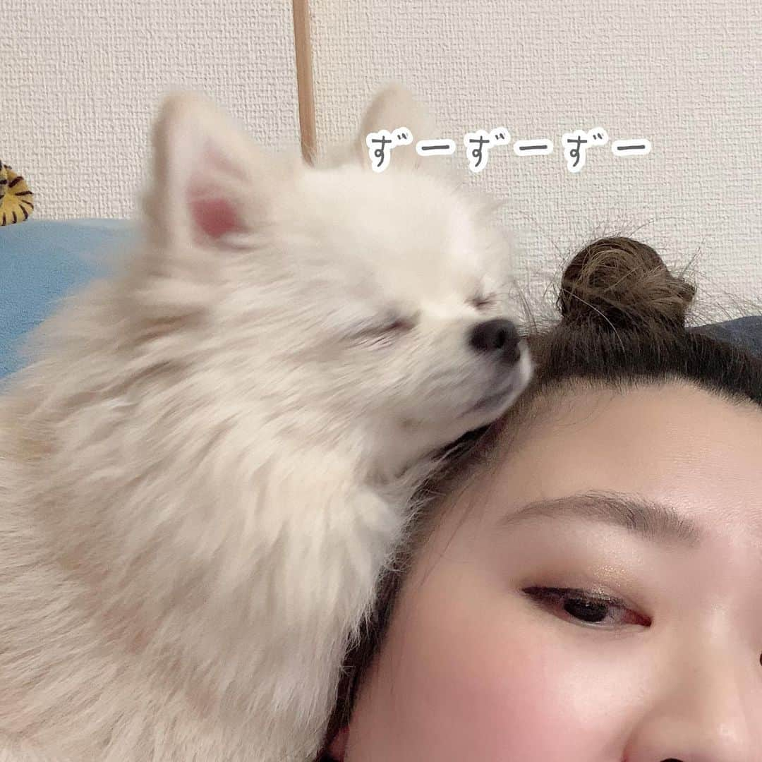 やしろ優さんのインスタグラム写真 - (やしろ優Instagram)「よろしくお願いします🤲」12月10日 19時14分 - yashiroyuuuu