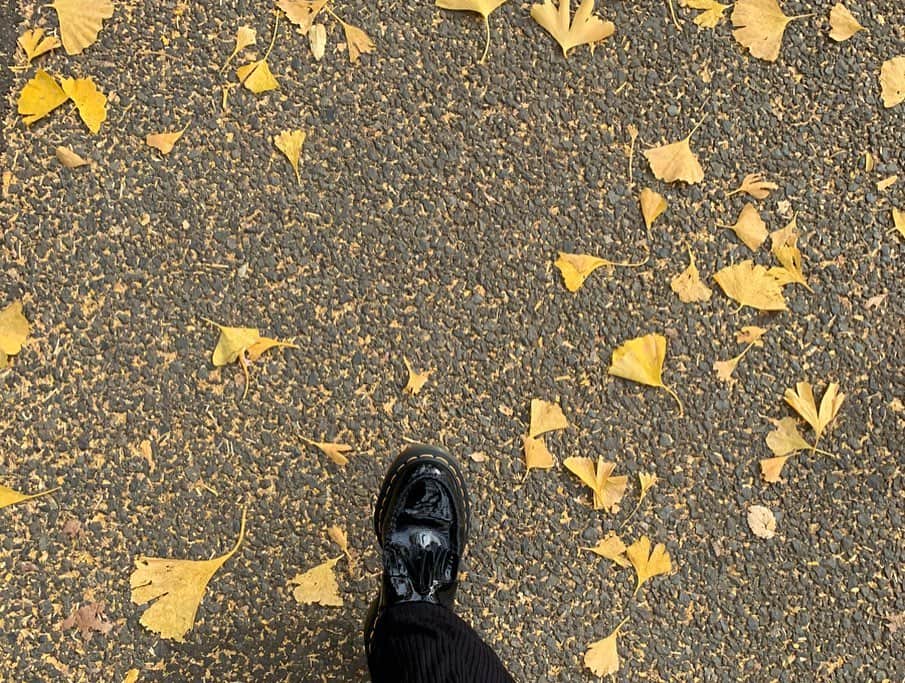 清水佐紀さんのインスタグラム写真 - (清水佐紀Instagram)「先日お散歩した #外苑前 #いちょう並木 #🍁 #🍂 #終わりかけの秋」12月10日 19時09分 - saki___shimizu