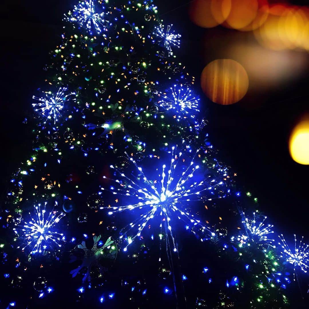 菜々香のインスタグラム：「街中やお店の中に 色んなクリスマスツリーが キラキラしている🎄🎄🎄 何度みても毎年わくわくする  クリスマスツリー  子供の頃いっちばん楽しみにしていたの!  クリスマスツリーを飾るのを。  そんな気持ちを思い出してる。  でも飾り付けは1人で飾るの  楽しくないから  クリスマスツリーは買いませーん。  でも欲しい!🥺 小さいの買おうか。  独り言多くてすみませーん。笑☹️☹️☹️ * * #クリスマス#クリスマスツリー #christmastree#tree#christmas#12月#nanaka#instananaka#菜々香」