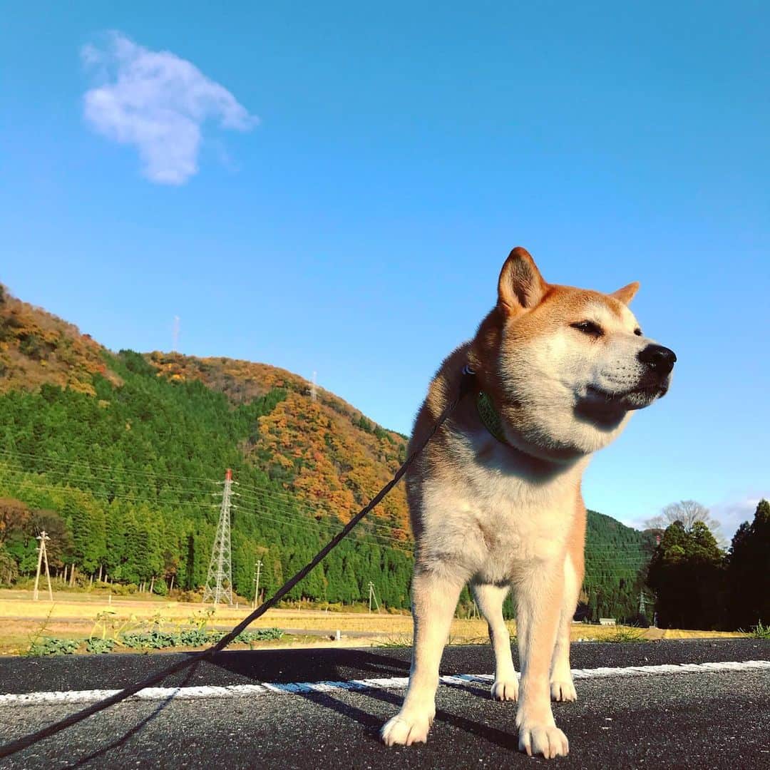 Hanamichi ＆ ℕㆁℜ〡ｋㆁ♡のインスタグラム：「・ 冬の空気はきれい❄️ ・ ・ The winter air is clear✨」