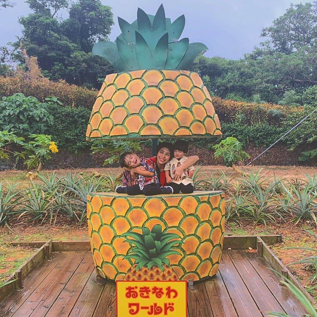 齋藤美波のインスタグラム：「🍍🍍🍍 #おきなわワールド ・ ちょっと沖縄から外れたので 戻りまぁす😎 おきなわワールド初めて来ました！ 沖縄到着した日あいにくの雨で🙄 どこ行こーってなったんだけど 行きたいところがいくつか あった中で、那覇から1番近い おきなわワールドにきました👏🏽 ・ 結構楽しかった😂 沖縄らしいのも感じれたし 前のpostの蛇との写真も おきなわワールド🤣🐍 ・ 雨で雨の存在忘れさせるくらい 傘なんか全くささなかった！笑 見てくださいよ。 この、写真の武玄さんを。 楽しそうでしょ？笑 なかなかこんなに体いっぱいで 表さない子が表してます。笑 #ハイテンション ・ 然くんの小顔さには撃沈ですよ🤣 沖縄戻りたい〜😭😭😭 ・ ・ #家族旅行#沖縄旅行#おきなわワールド#パイナップル#楽しい#思い出#男の子兄弟#男の子ママ#パワフルかあちゃん#だいたいカメラマンはパパ#3人の写真ばかり#okinawa#okinawaworld#familytrip#trip#happy#smile#memories」