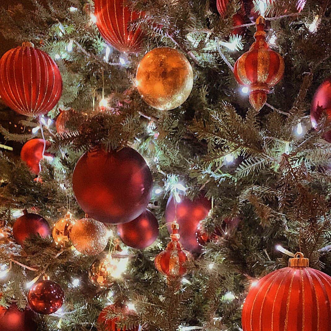 Marika Kajiwaraさんのインスタグラム写真 - (Marika KajiwaraInstagram)「🎄✨ ＊ 出かけるとどこに行っても クリスマスツリーがあって、 イルミネーションがキラキラしてる この季節が1番好き☺️💓 ＊ ＊ ＊ #冬派 #christmas」12月10日 12時05分 - marika__kw