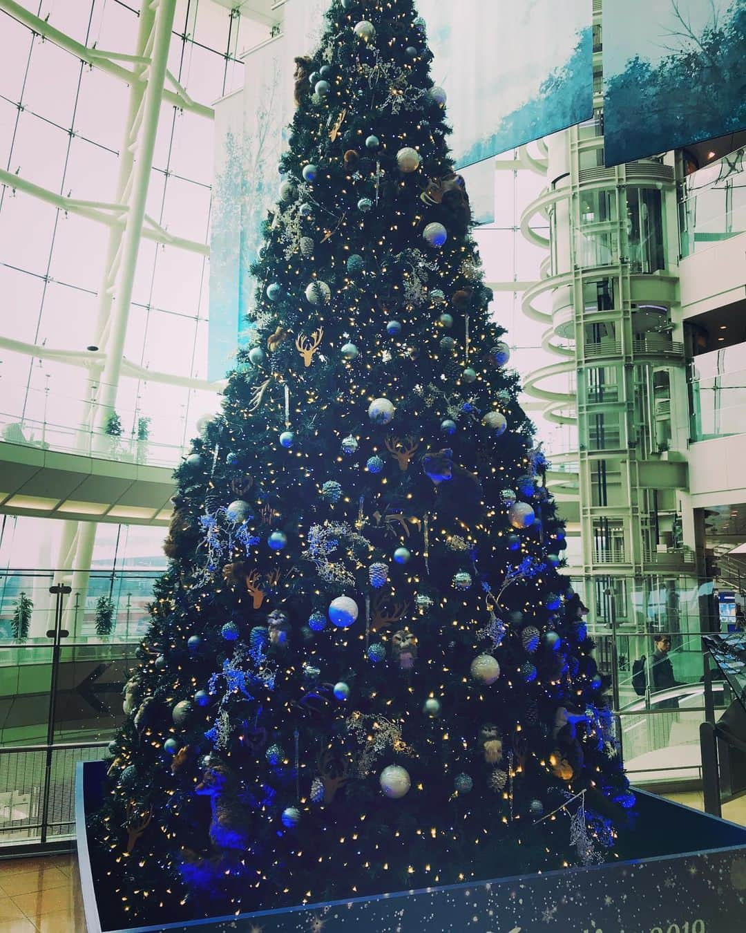 美川憲二さんのインスタグラム写真 - (美川憲二Instagram)「羽田空港よ〜✈️💨💨 今日の私服は茶のムートンコートコーデ‼️🧥👞👖😉✌️ 高知までお仕事行ってきまーす‼️ #羽田空港第2ターミナル  #私服 #ムートンコートコーデ  #これから高知県 #お仕事 #行ってきます #美川憲二 #ものまね」12月10日 12時55分 - mikawakenji