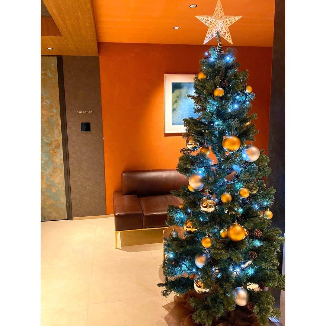 田尻夏樹（なつきんぐ）さんのインスタグラム写真 - (田尻夏樹（なつきんぐ）Instagram)「京都で紅葉を観た後は 祇園四条にあるラグジュアリーホテル　@yoinhotel  へ♡ . 観光地すぐにあるから移動も楽だしさっと荷物を部屋へ置いて ご飯などのお出かけに出かけられるのが嬉しい♡ . . もうクリスマスモードで エントランスには大きなクリスマスツリーが😍💕 クリスマス京都旅行へ行かれる方は是非チェックしてみてください♡ . . ホテルアカウントのトップのリンクから飛べる 公式ＨＰから予約したお客様限定のインスタグラム特典として 「田尻夏樹のインスタを見た」と伝え予約した方には 「asatsuyu」のハーフボトル1本プレゼントが🎁✨✨ . . また、ホテルアカウントから私もインスタライブをさせてもらうので よかったら　@yoinhotel をフォローしててください😌✨✨ お話し出来るのを楽しみにしてます♡ . . . #クリスマス旅行 #京都ホテル　 #京都女子旅 #pr」12月10日 14時47分 - tajiri_natsuki