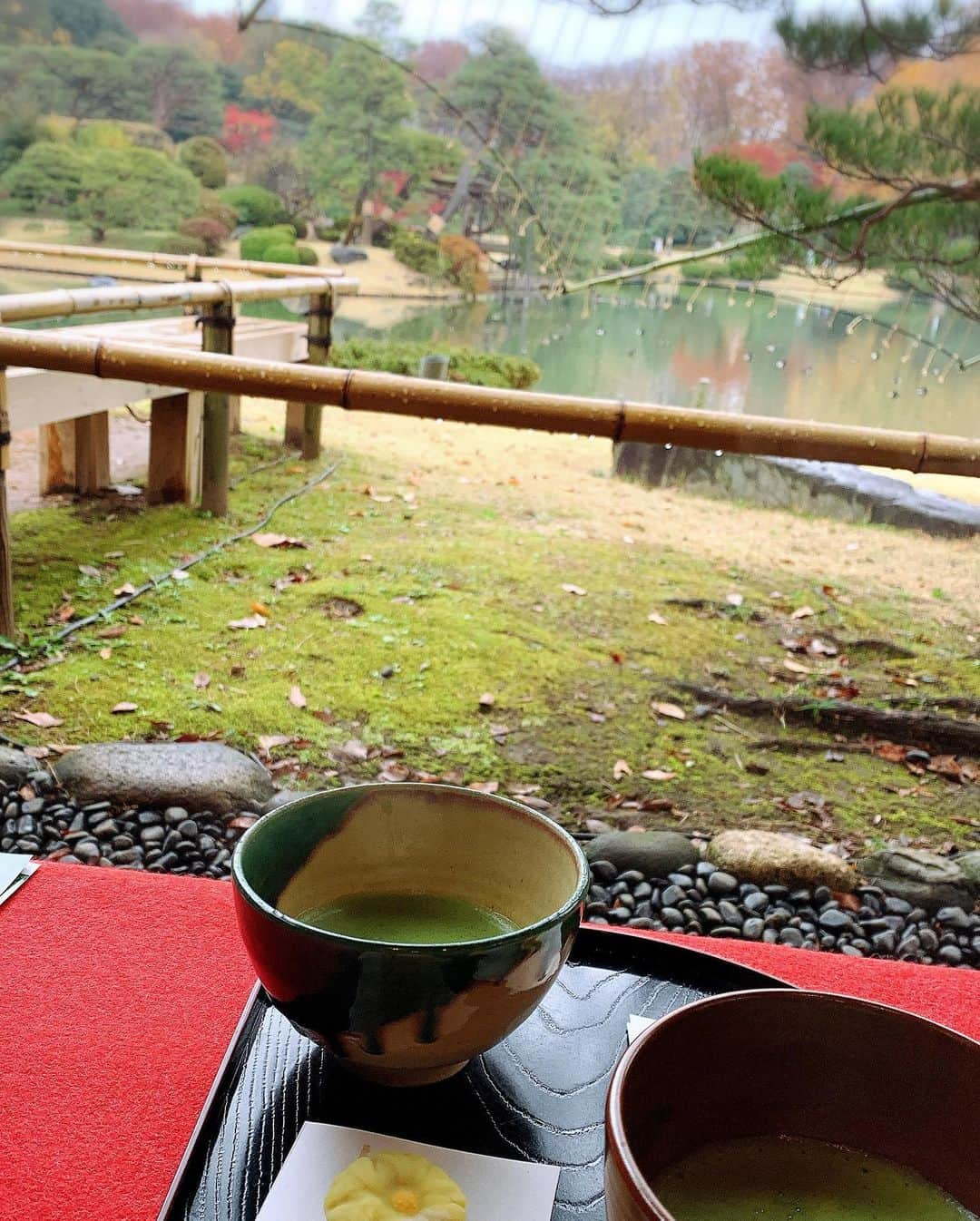 ゆうたむさんのインスタグラム写真 - (ゆうたむInstagram)「紅葉と🍁お抹茶🍵とお蕎麦 . . . 良きかな✨👵 . . . #凍えそうでした　#寒くて #六義園の紅葉 #六義園 #銭湯も行ったよ」12月10日 15時04分 - yuutamu_non