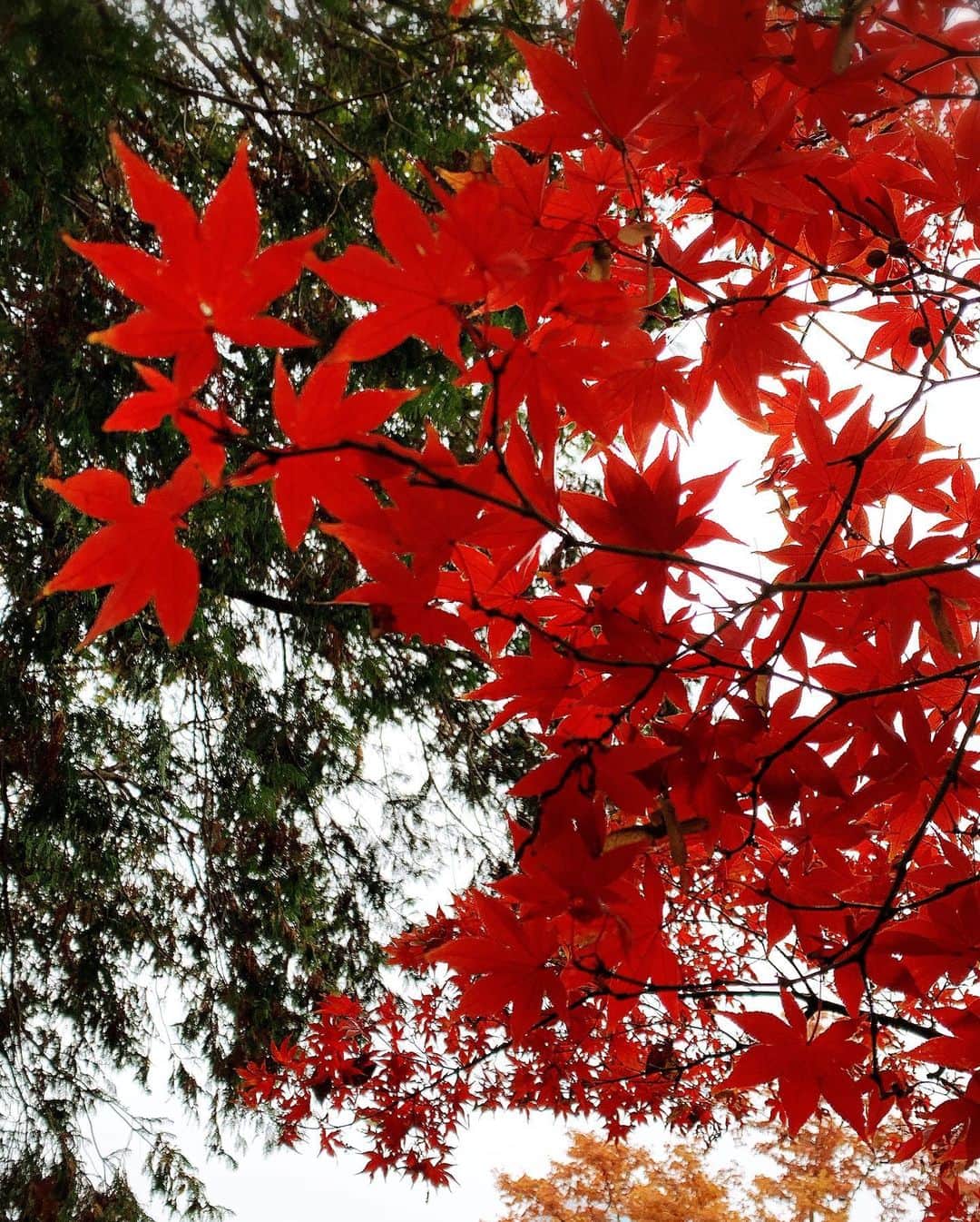 ゆうたむのグルメインスタ