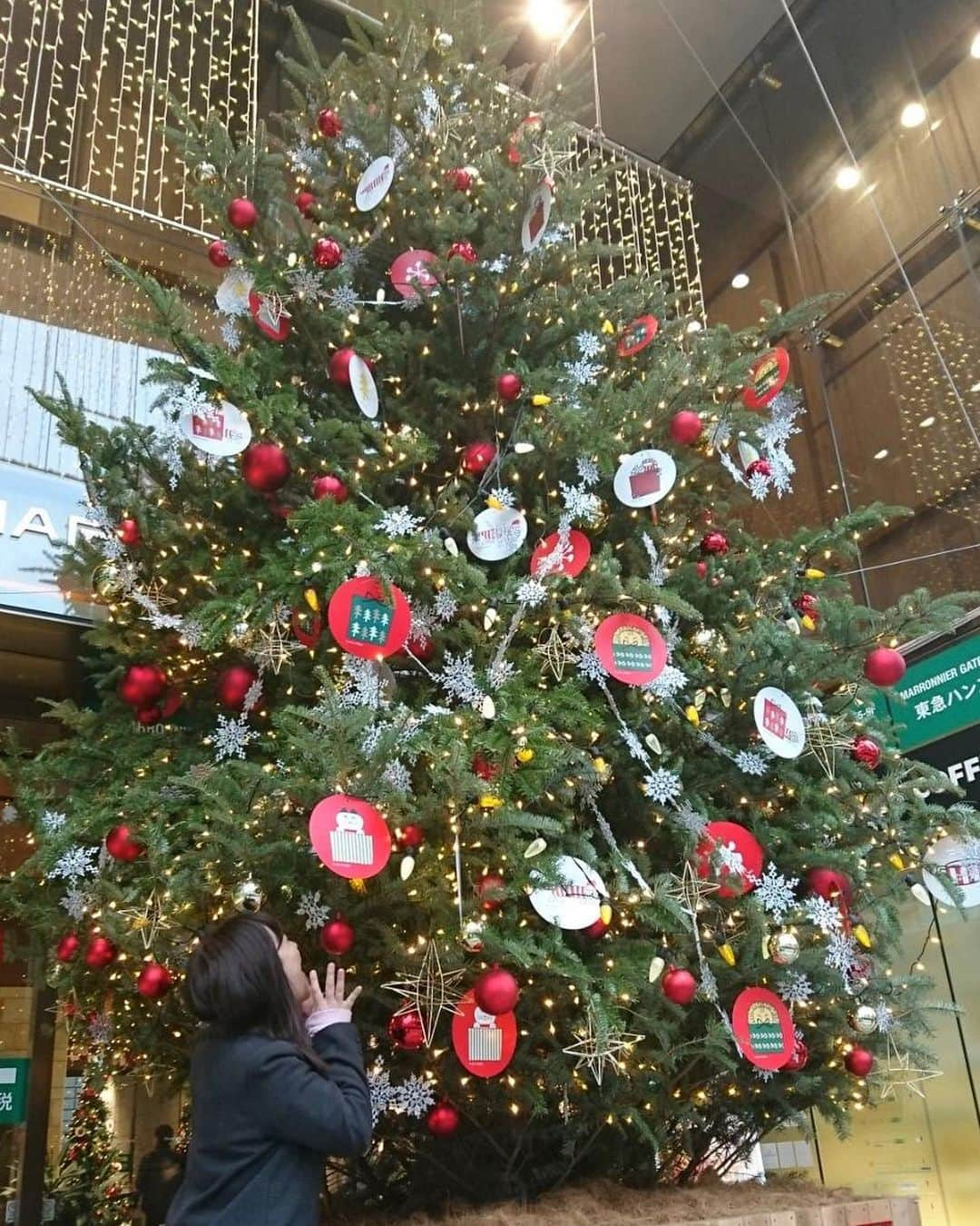 西村志野さんのインスタグラム写真 - (西村志野Instagram)「＊ 今年もツリーと写真を撮る季節に🎄❤️ ＊ #クリスマスツリー #xmastree #🎄」12月10日 20時39分 - shinonishimura_