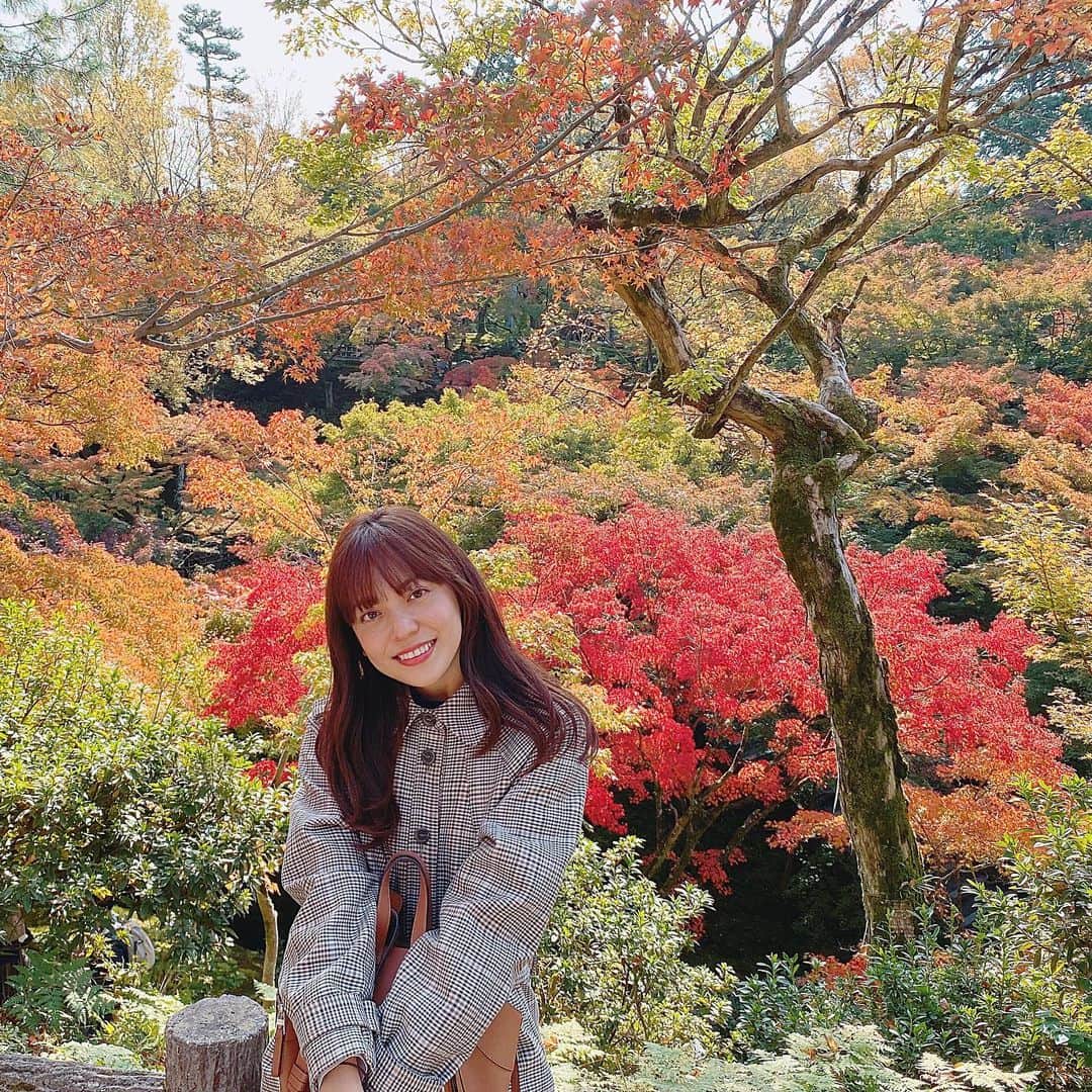 森夏美さんのインスタグラム写真 - (森夏美Instagram)「. 寒さが厳しくなってきました。 ただ、気温が下がれば下がるほど 美しくなるのが紅葉です🍁  この鮮やかな色合いが 心をあたためてくれます☺️ . #紅葉#もみじ#癒されるなあ」12月10日 15時24分 - mori_natsumi0722
