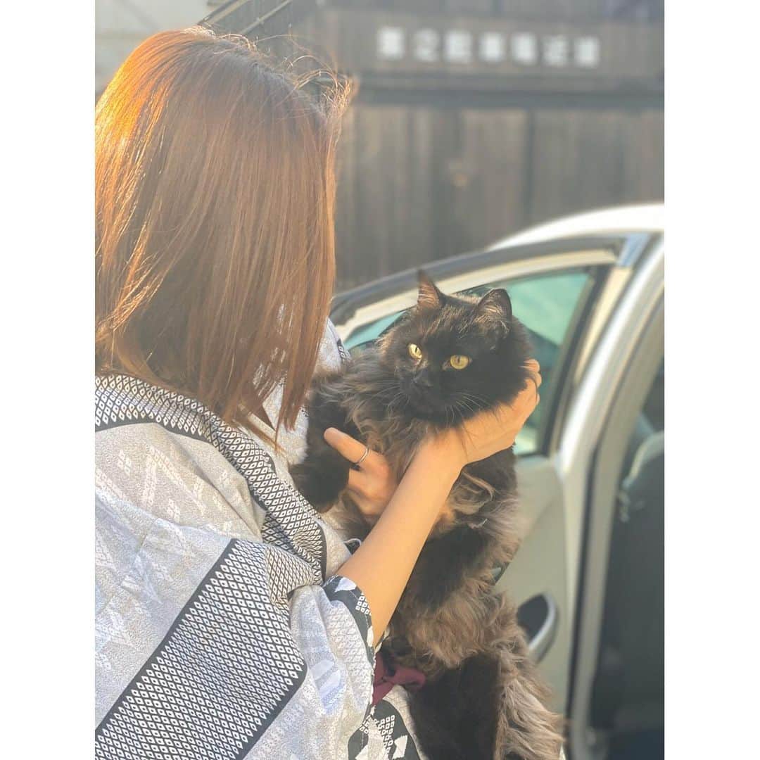 春輝のインスタグラム：「旅館で出会ったねこちゃん🐈 バレンティンそっくり🐾  #猫#cat #春輝#Haruki」