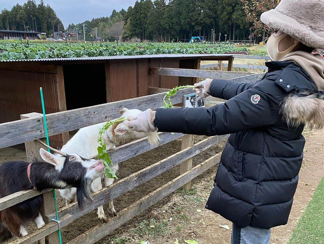 薬丸玲美さんのインスタグラム写真 - (薬丸玲美Instagram)「. 念願のグランピング🏕 . 千葉県にある THE FARM というグランピング施設に行ってきました！ . 手ぶらで行ける 野菜の収穫無料体験 夜ご飯はBBQ 温泉にも入れちゃう 最高な施設でした！ . 初めて行ったグランピングが凄すぎて ハマってしまいそう❤️ . 次はオートキャンプかな！？⛺️ . #グランピング」12月10日 15時44分 - remi_yakumaru